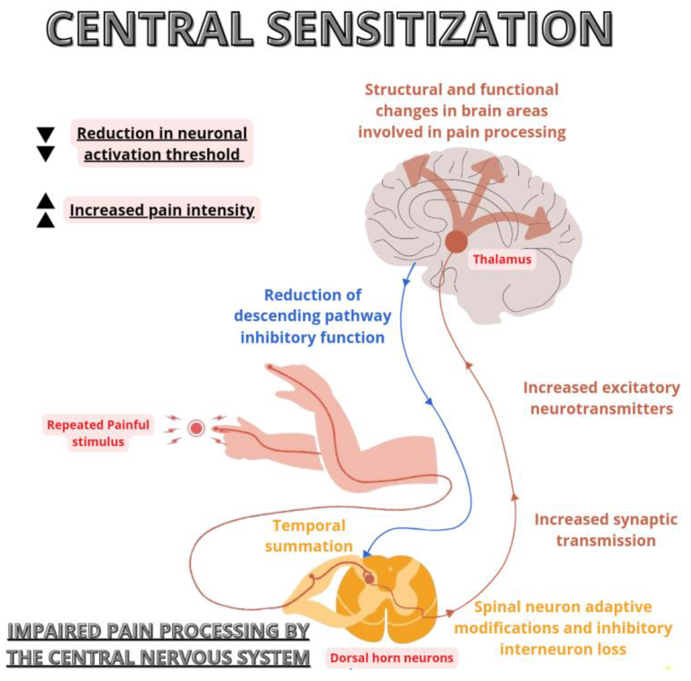 Healthcare 12 00546 g002