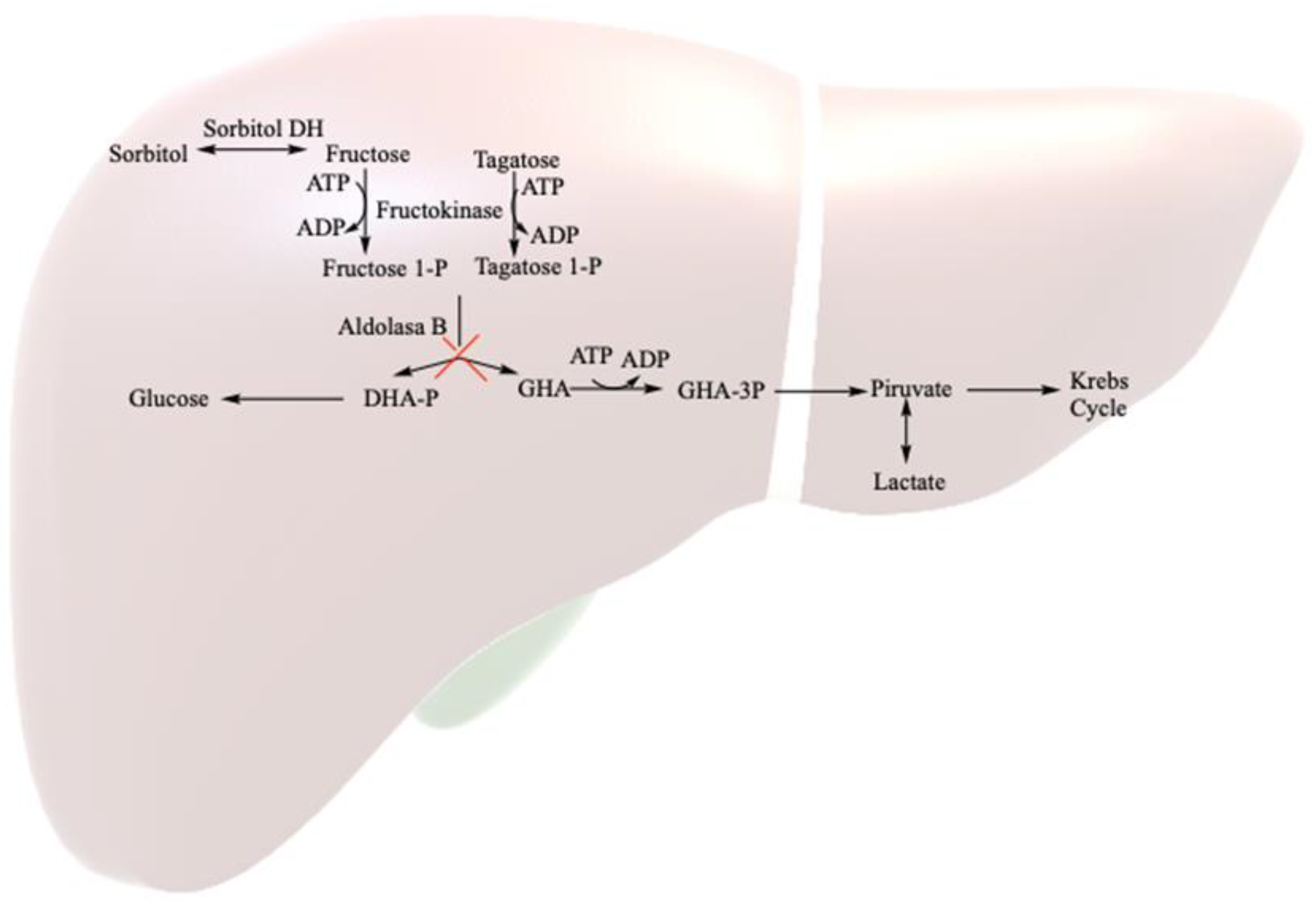 Healthcare 12 00573 g001 Healthcare 12 00573 g001