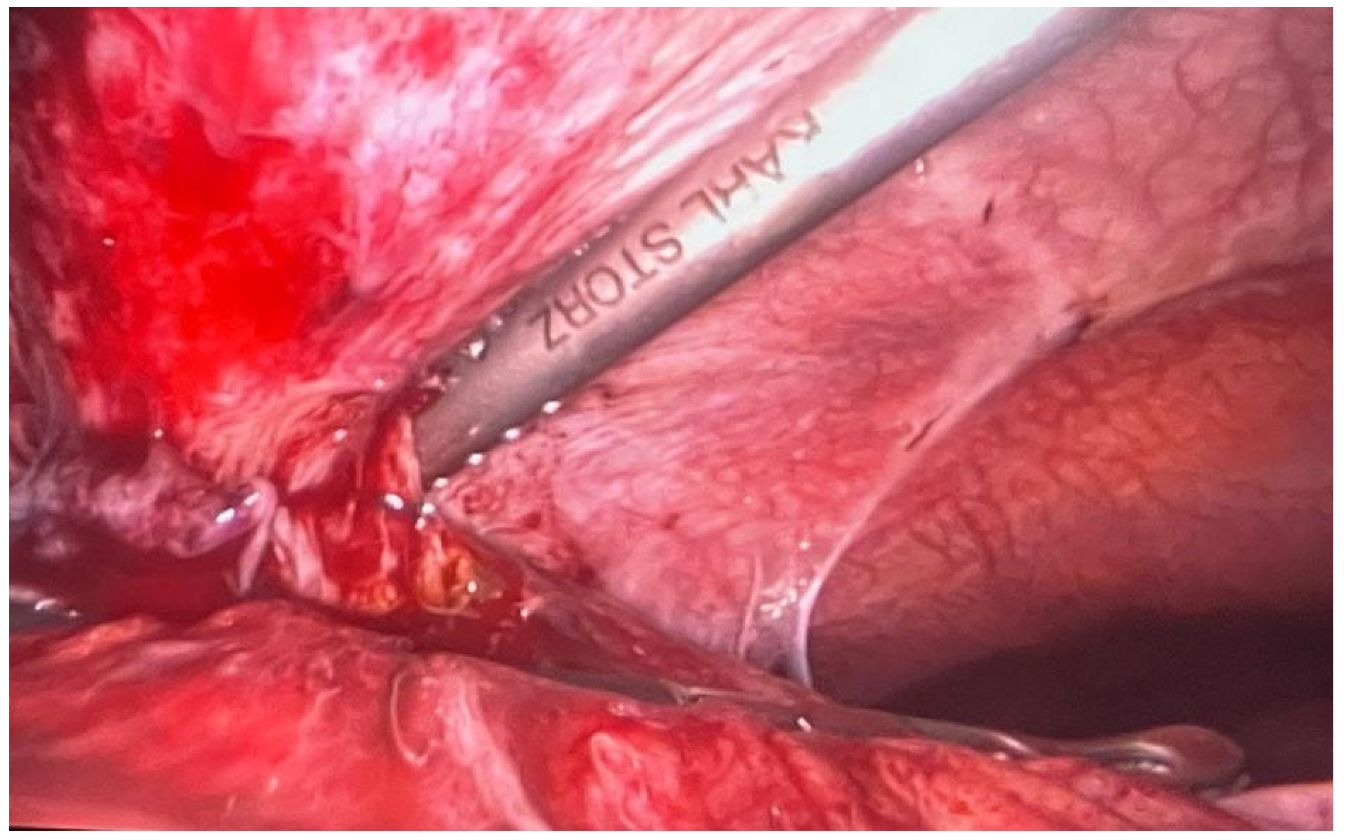 Healthcare 12 00610 g001