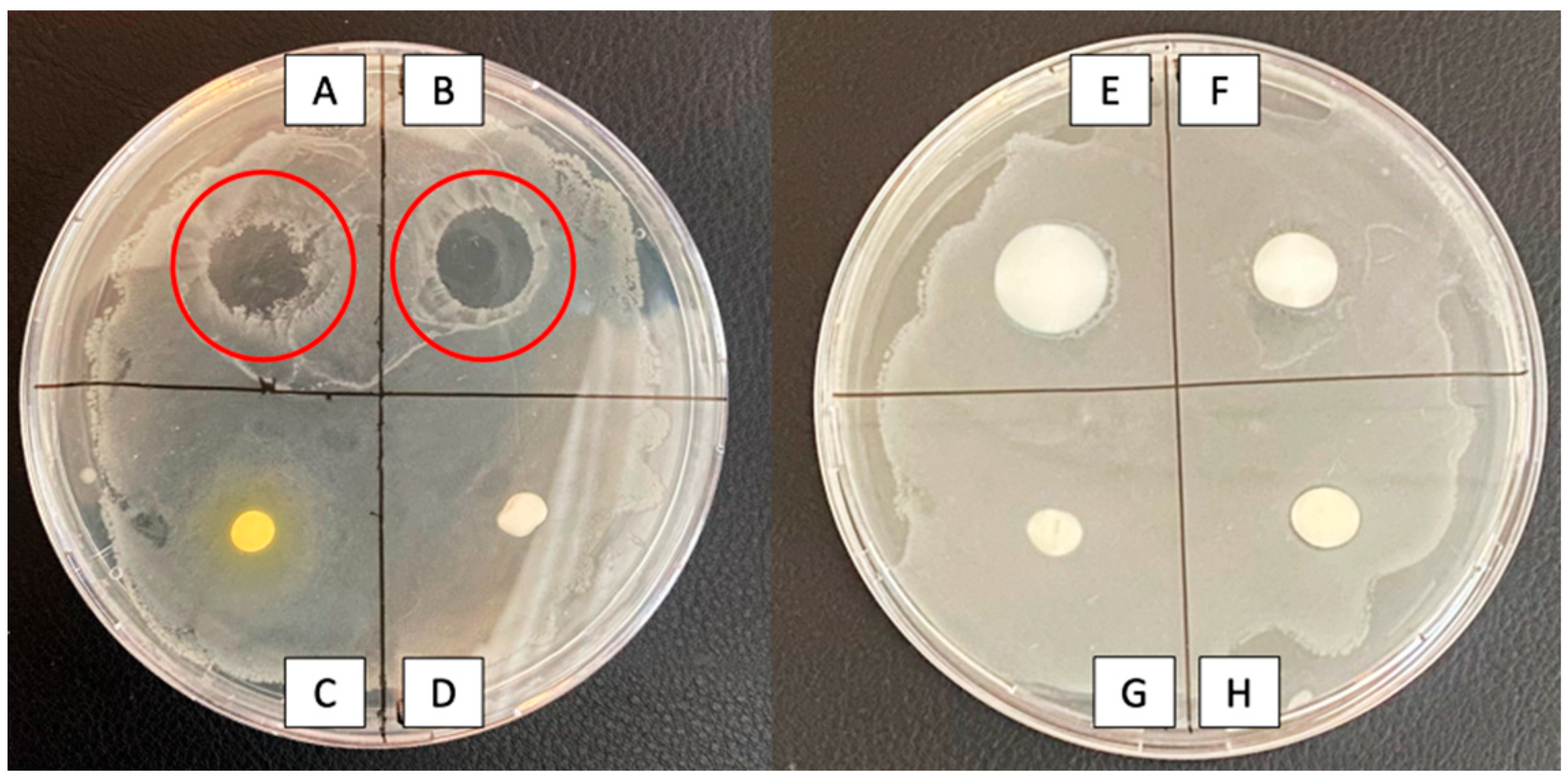 Healthcare 12 00646 g002