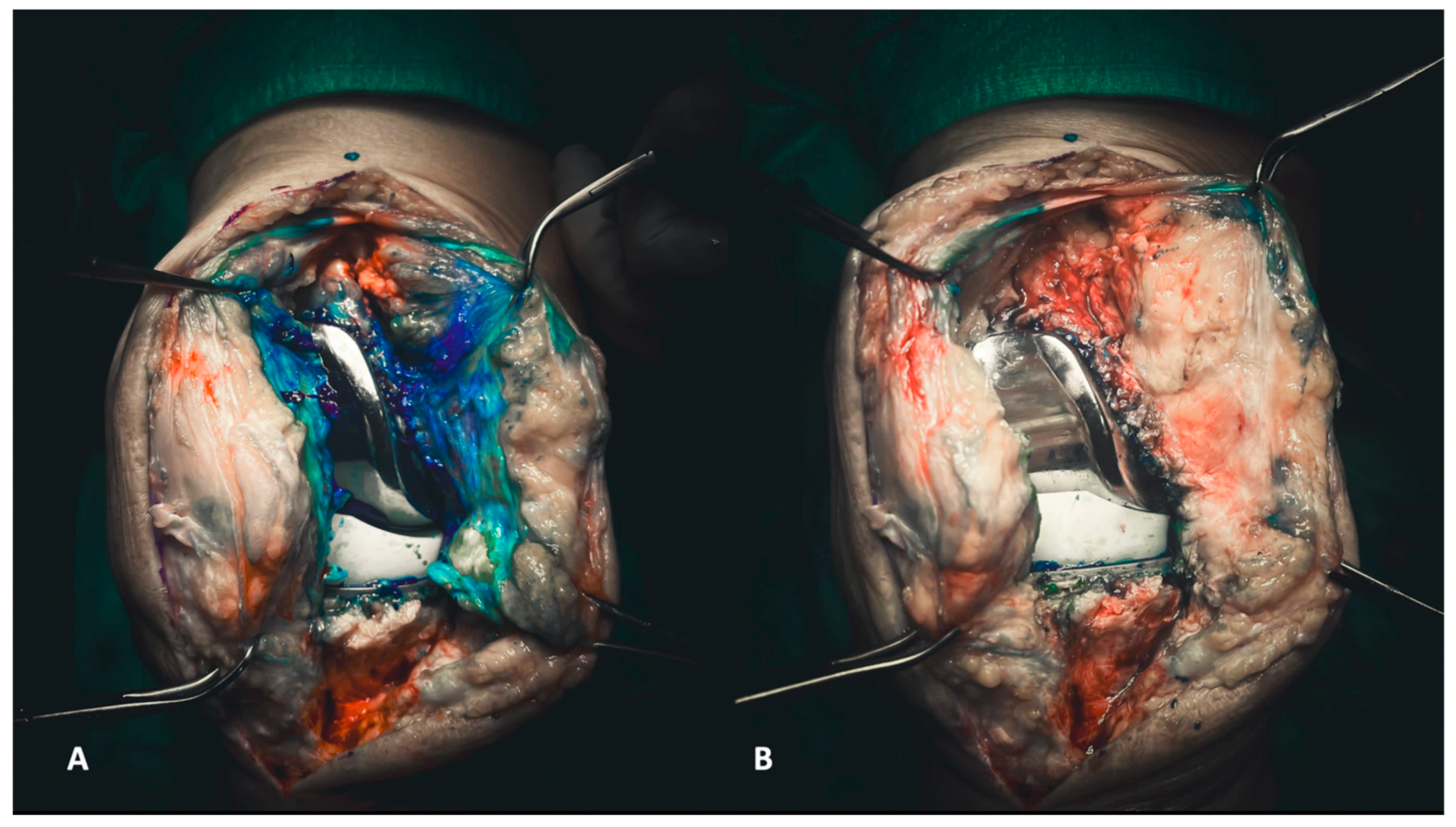 Healthcare 12 00735 g001