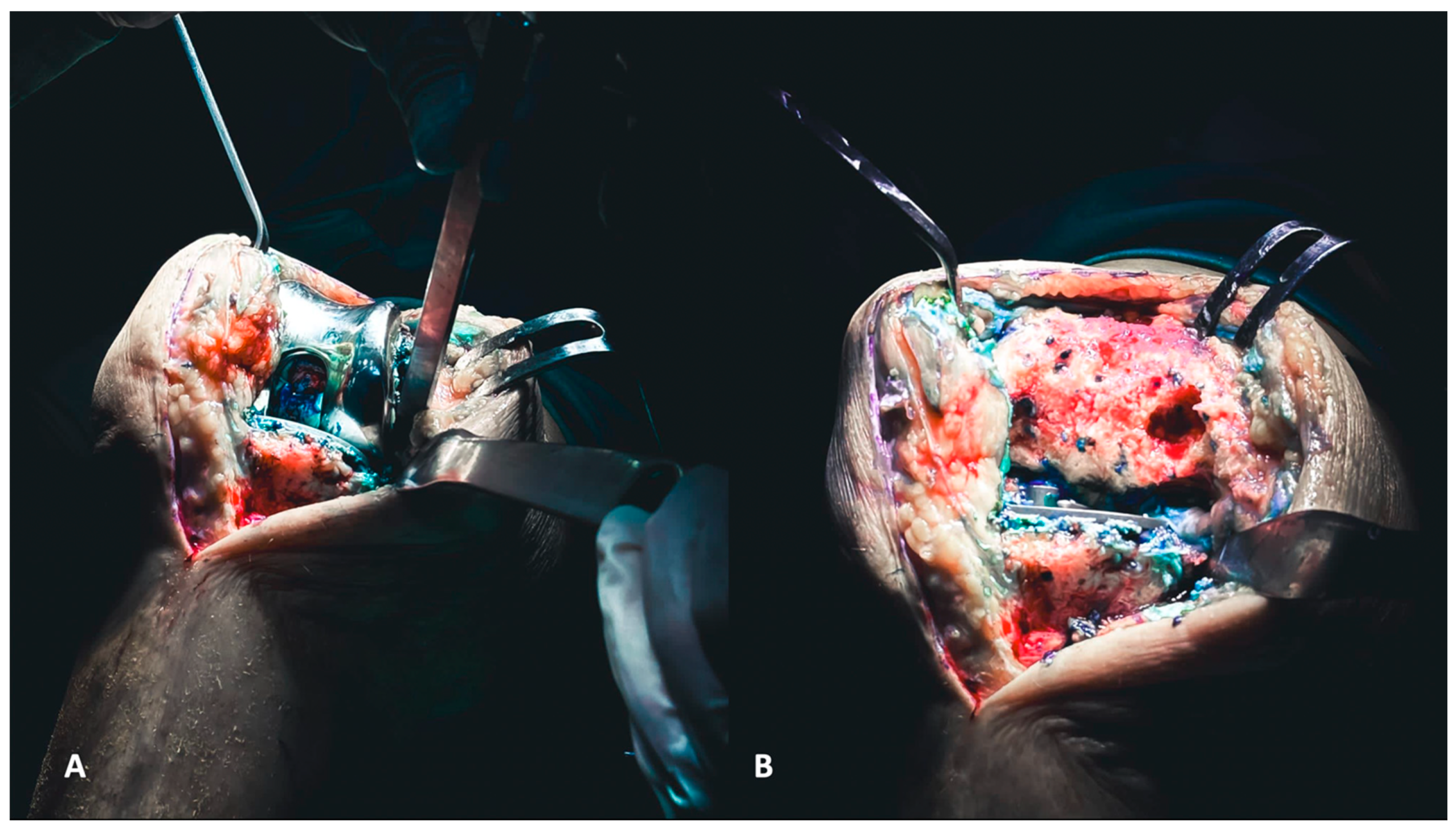 Healthcare 12 00735 g002