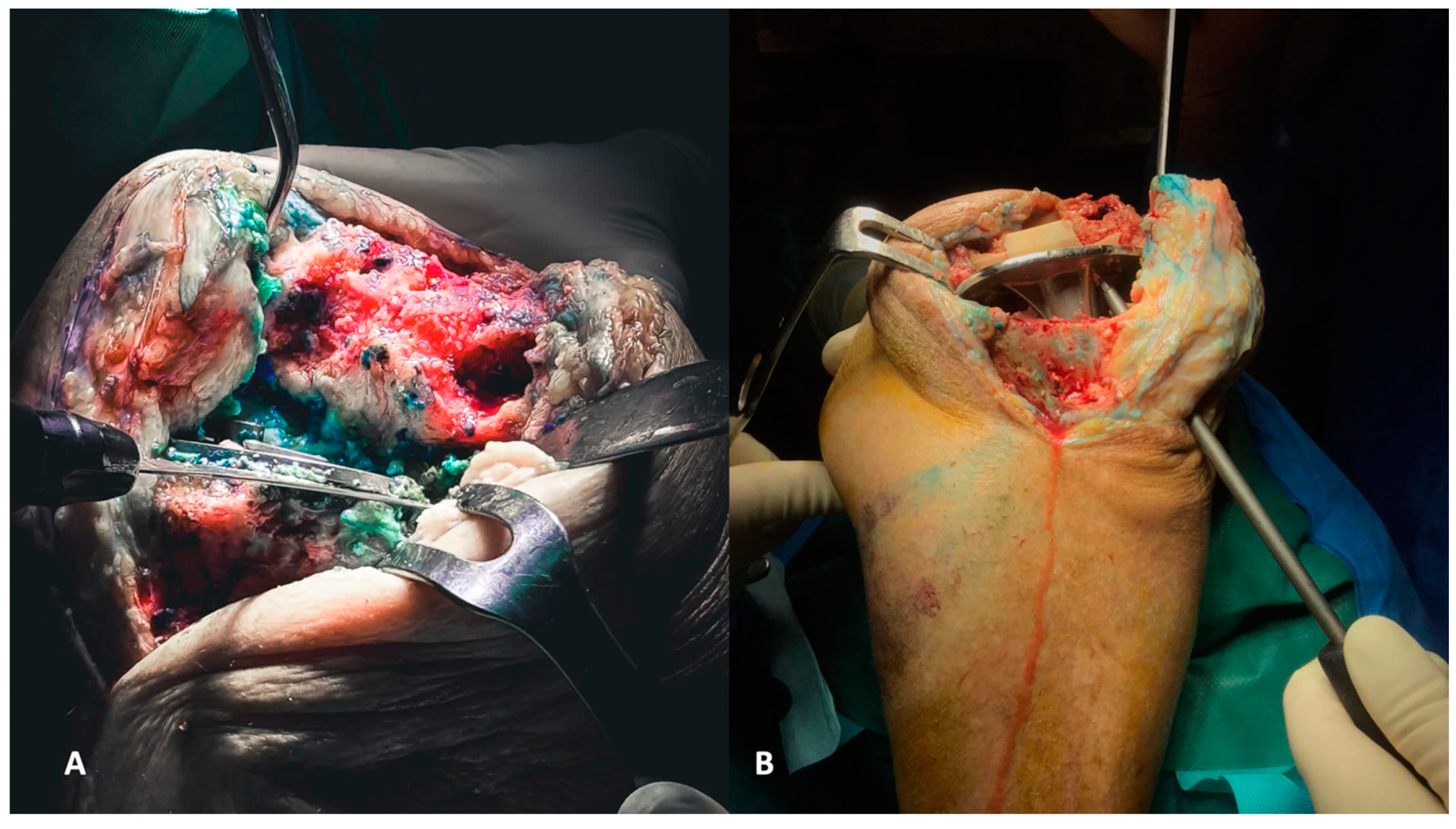 Healthcare 12 00735 g003