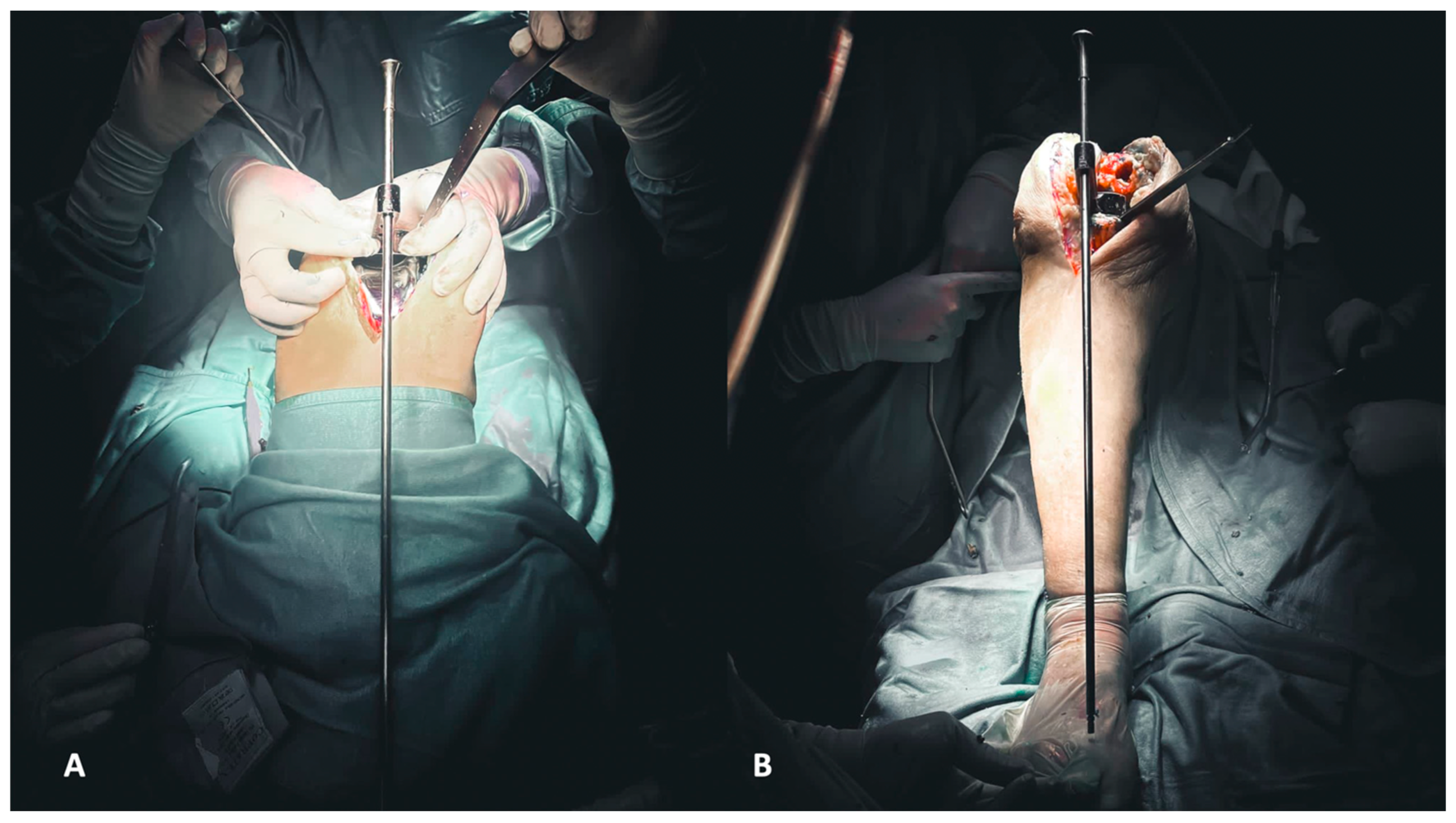 Healthcare 12 00735 g004