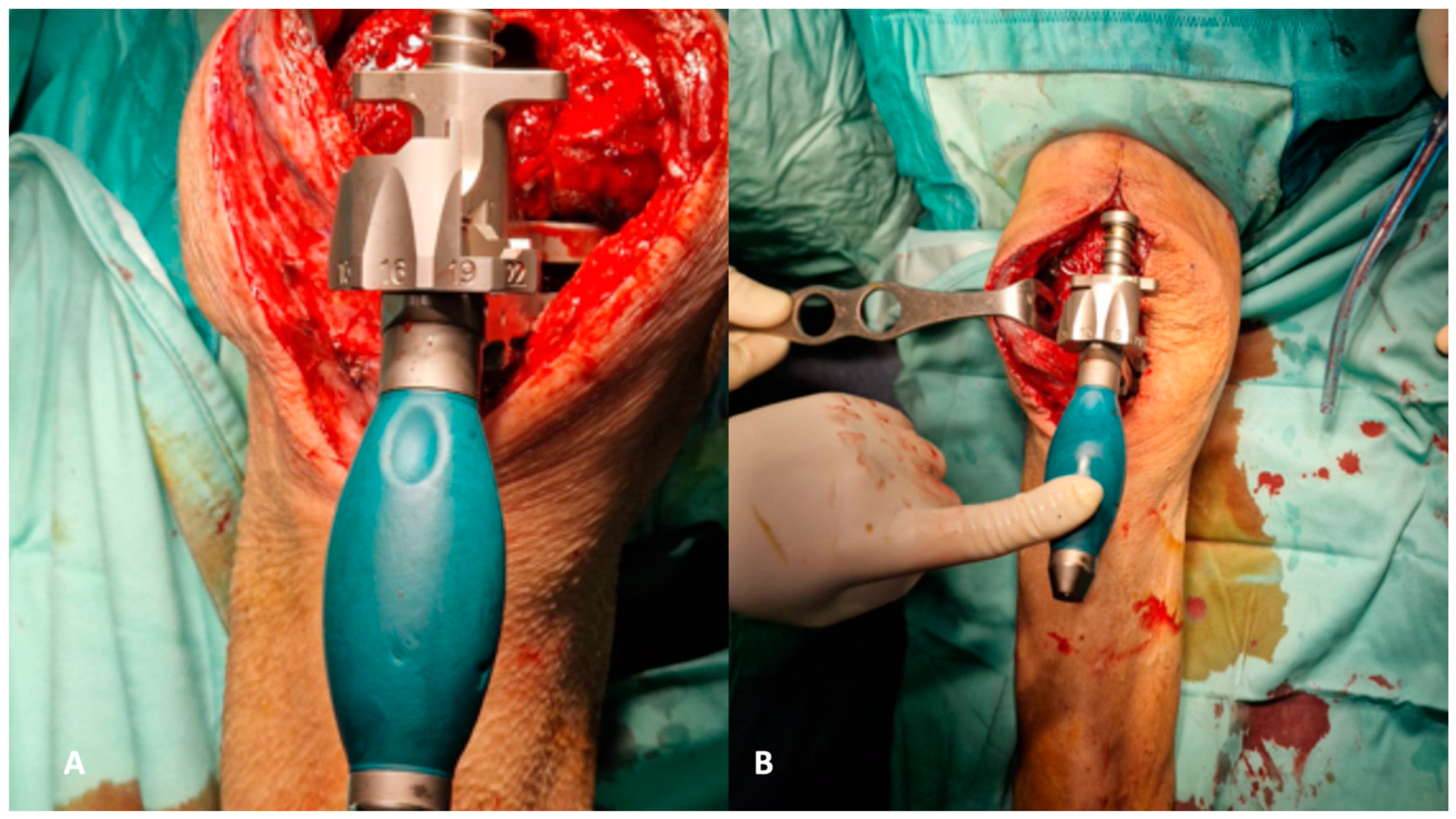 Healthcare 12 00735 g005