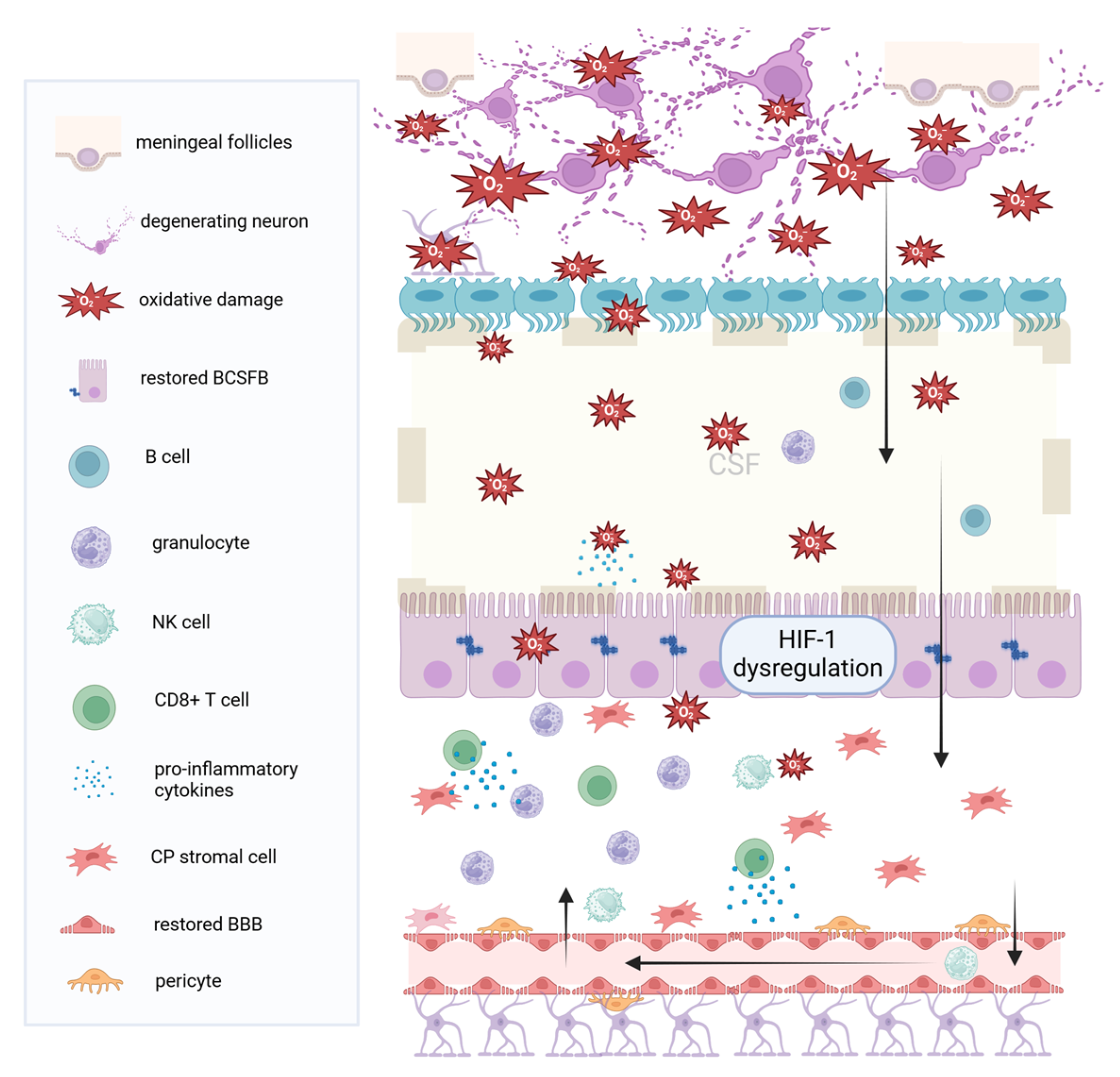 Healthcare 12 00768 g003