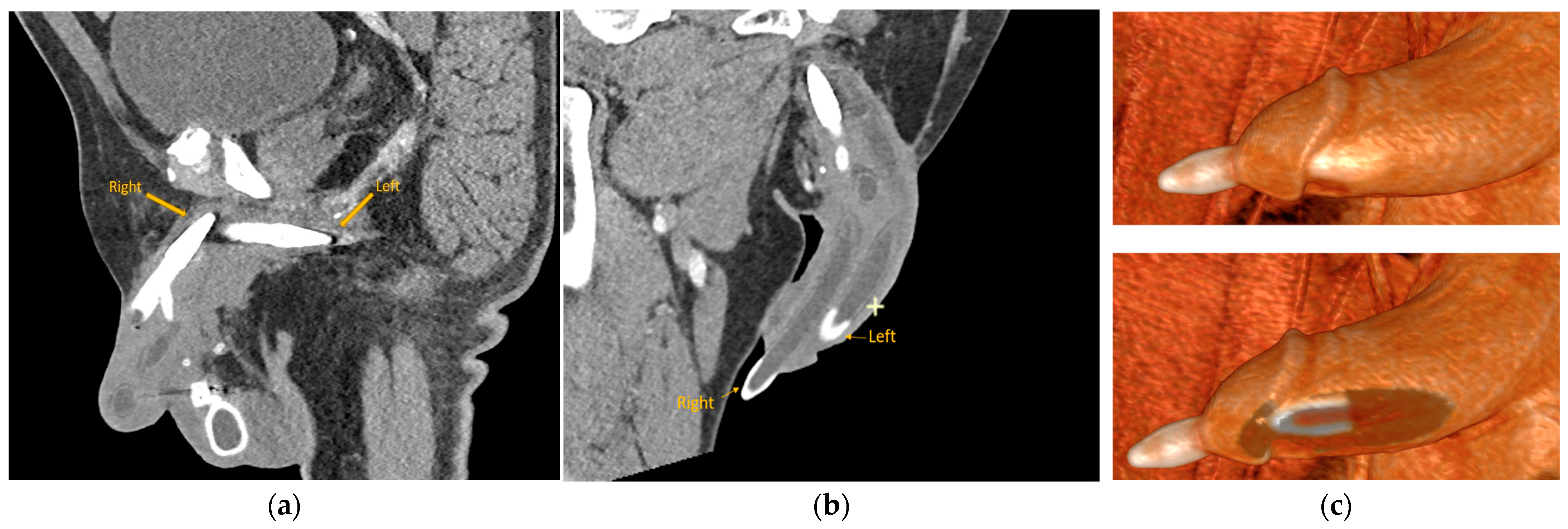 Healthcare 12 00964 g003