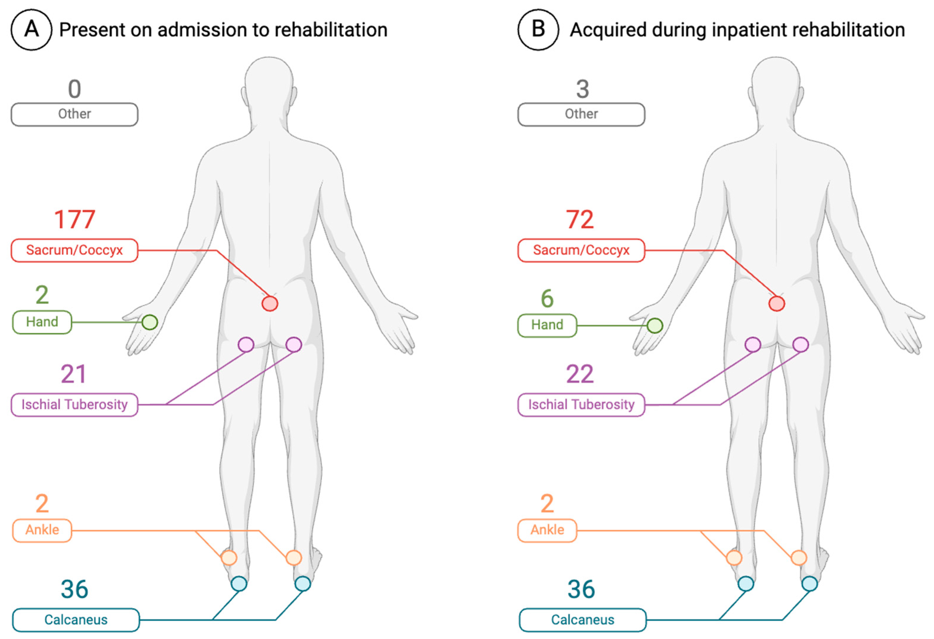 Healthcare 12 01084 g003