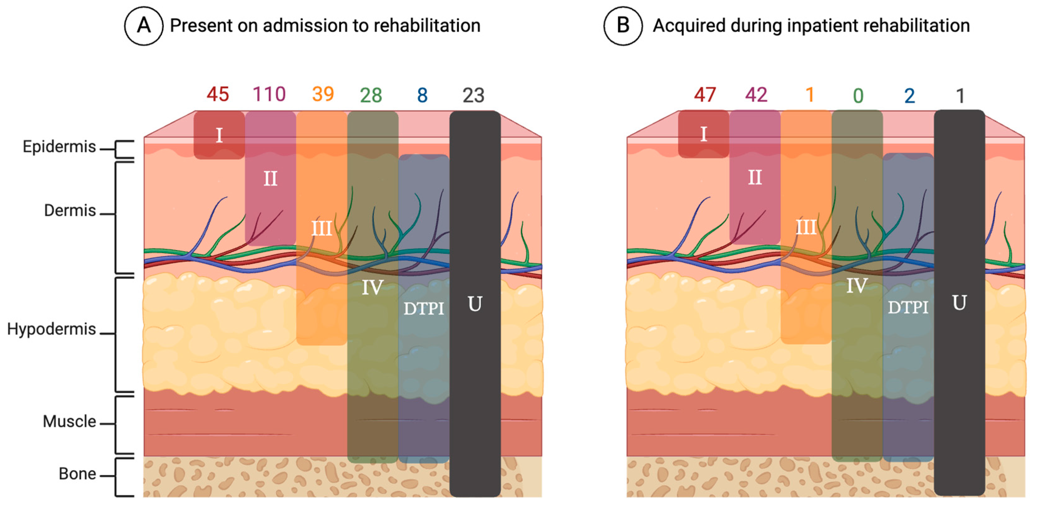Healthcare 12 01084 g004