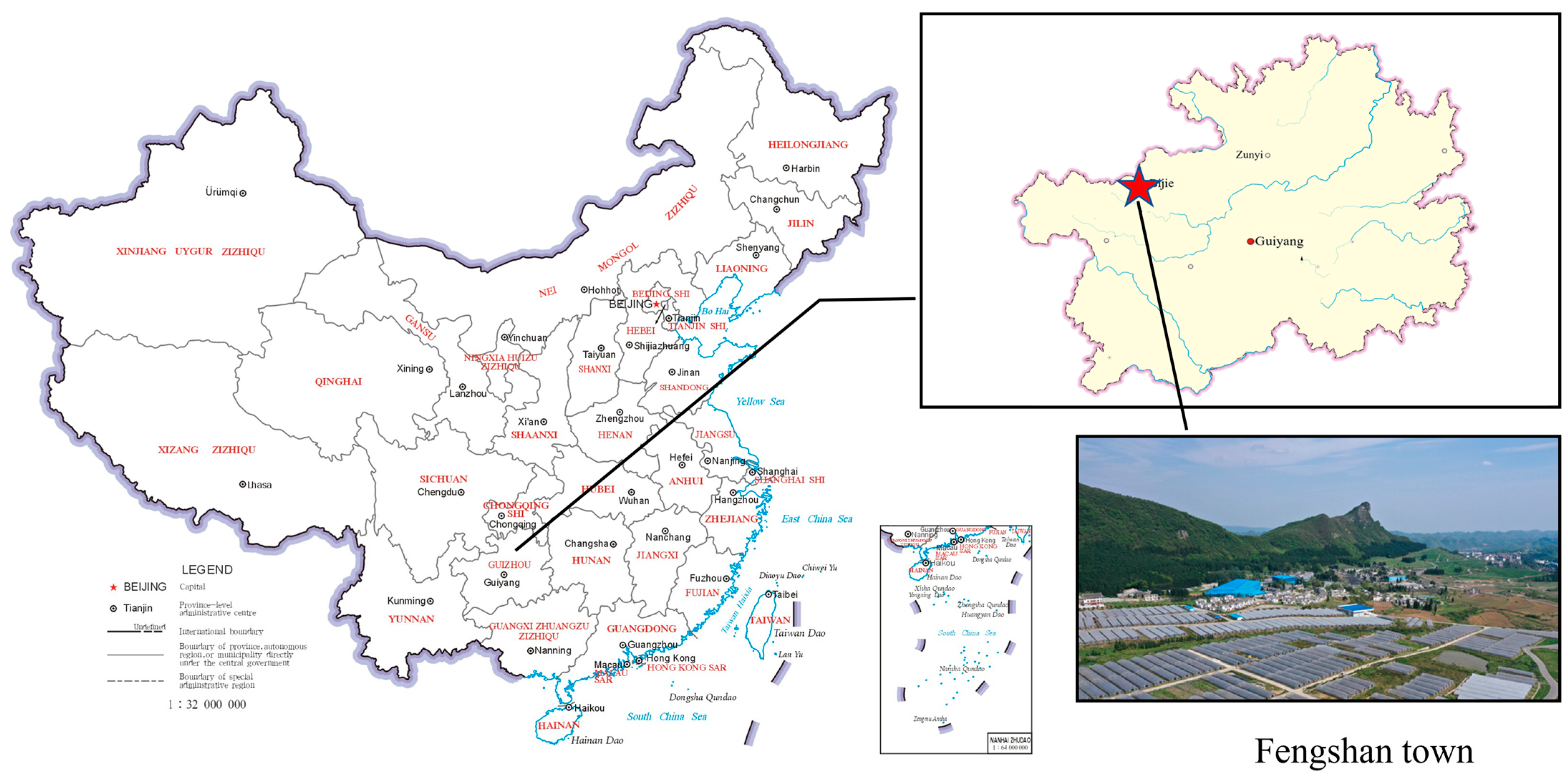 Healthcare 12 01246 g001