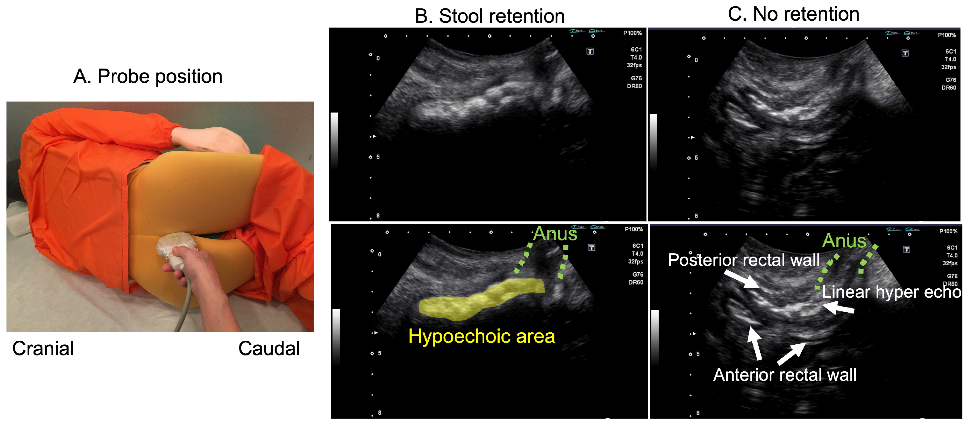 Healthcare 12 01251 g001