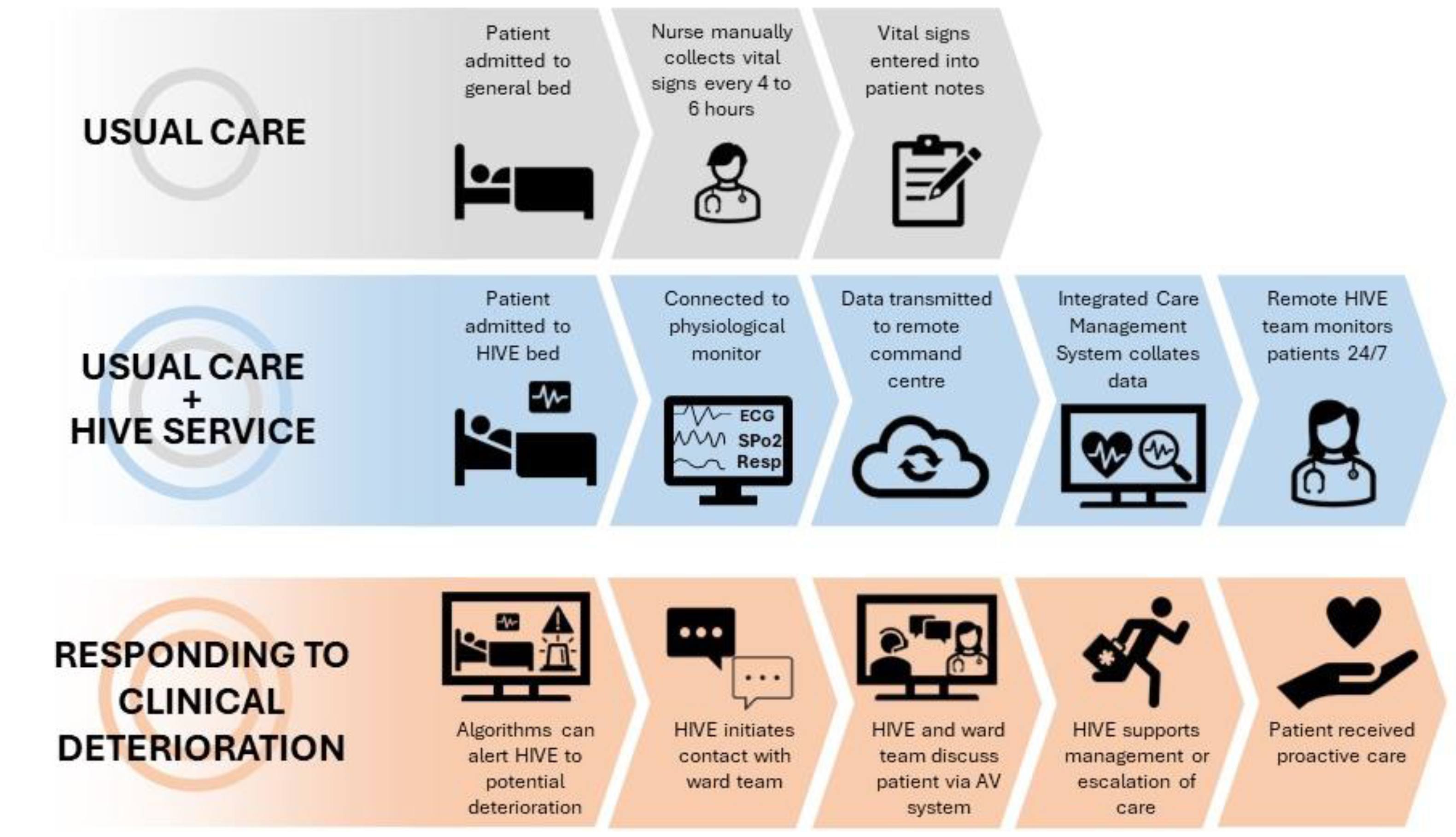 Healthcare 12 01265 g001