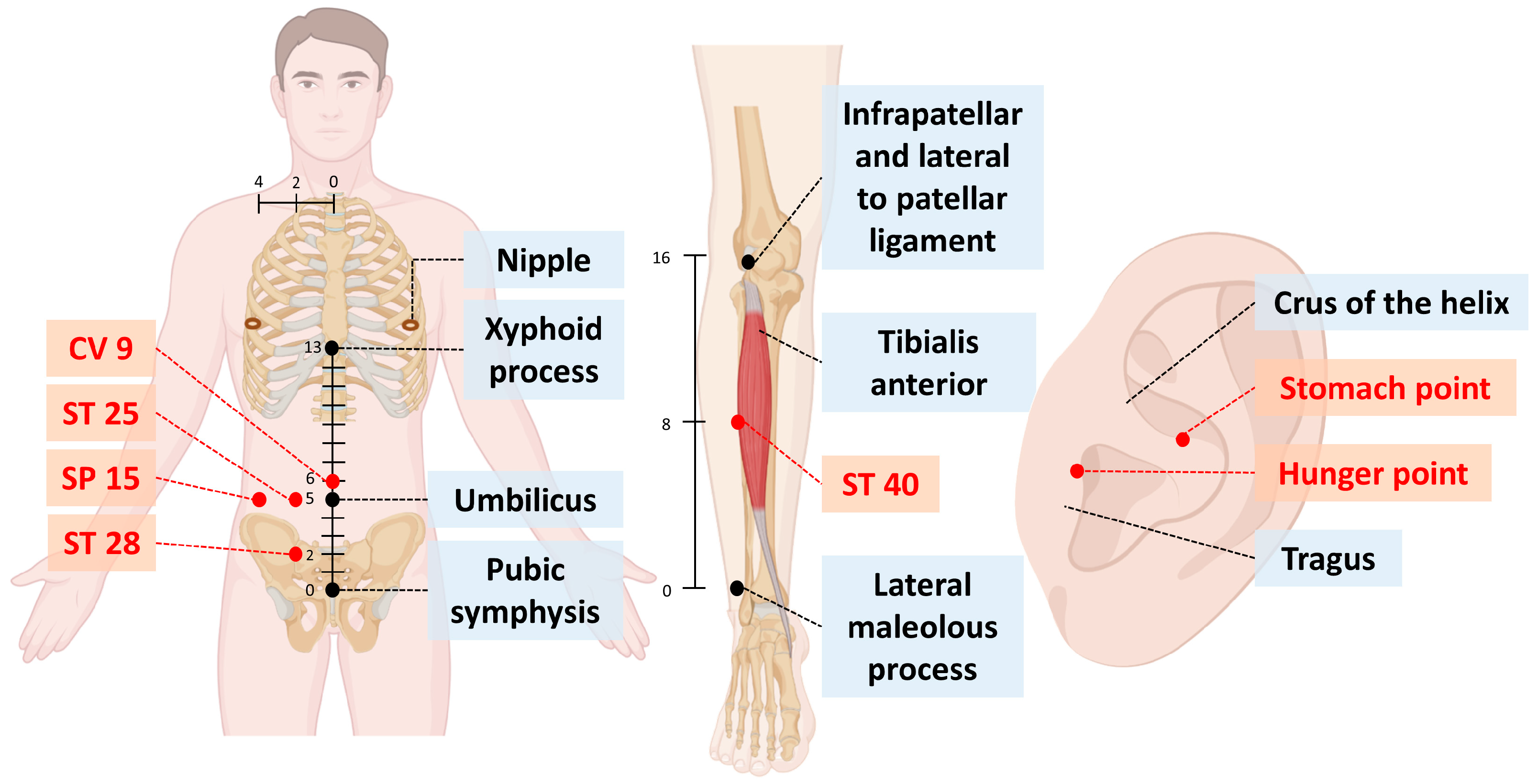 Healthcare 12 01279 g002