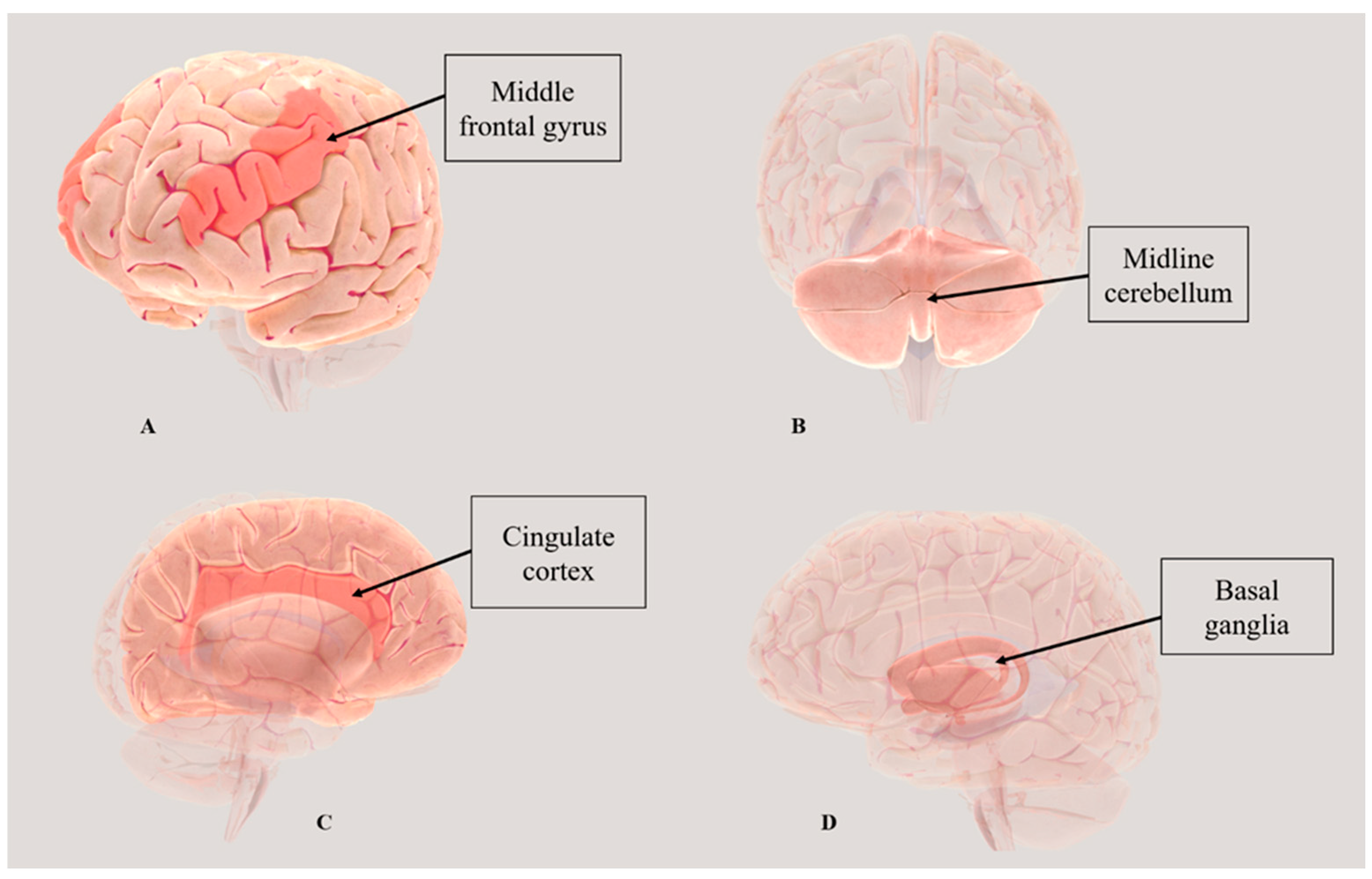 Healthcare 12 01353 g002
