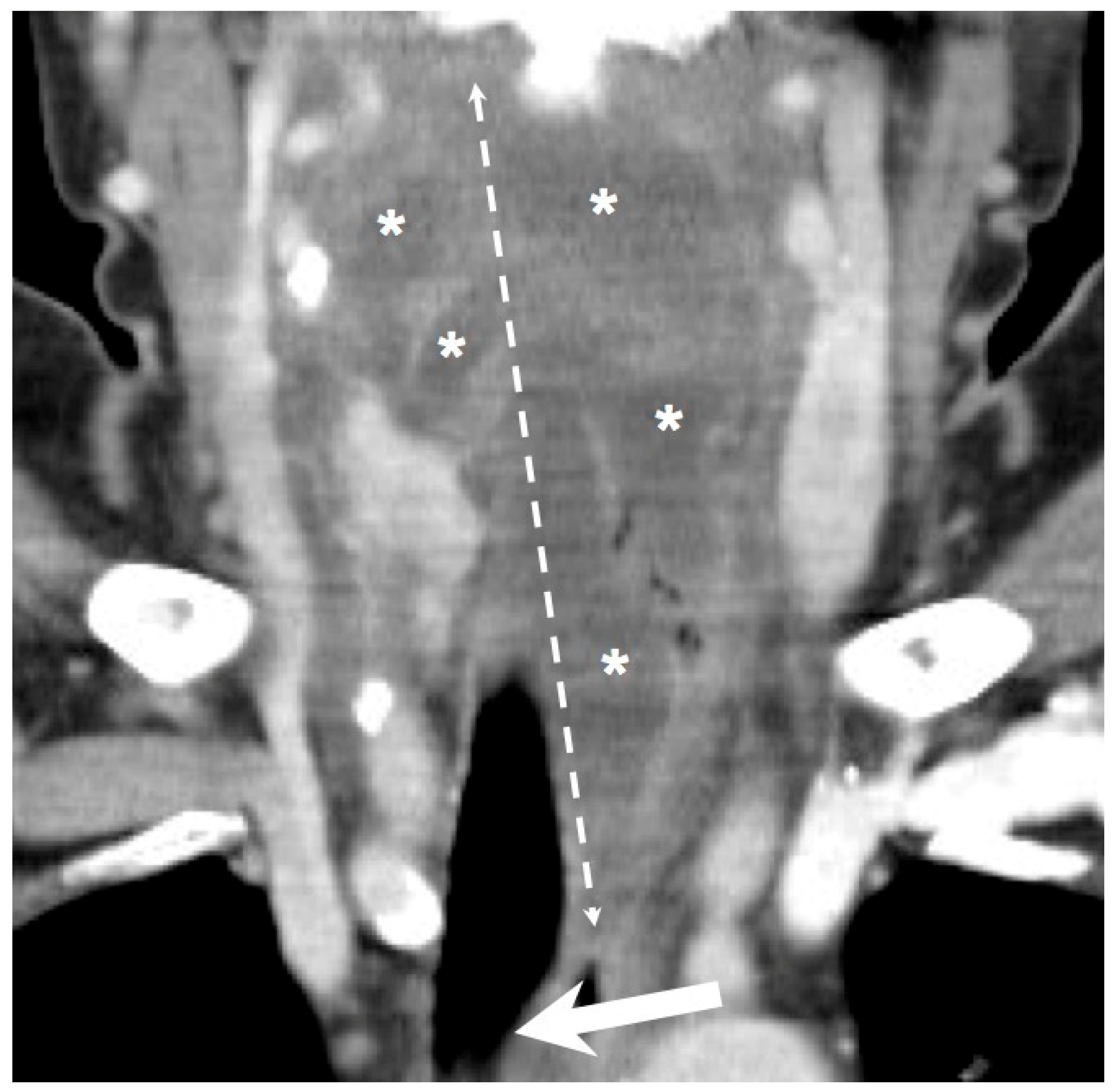 Healthcare 12 01383 g002