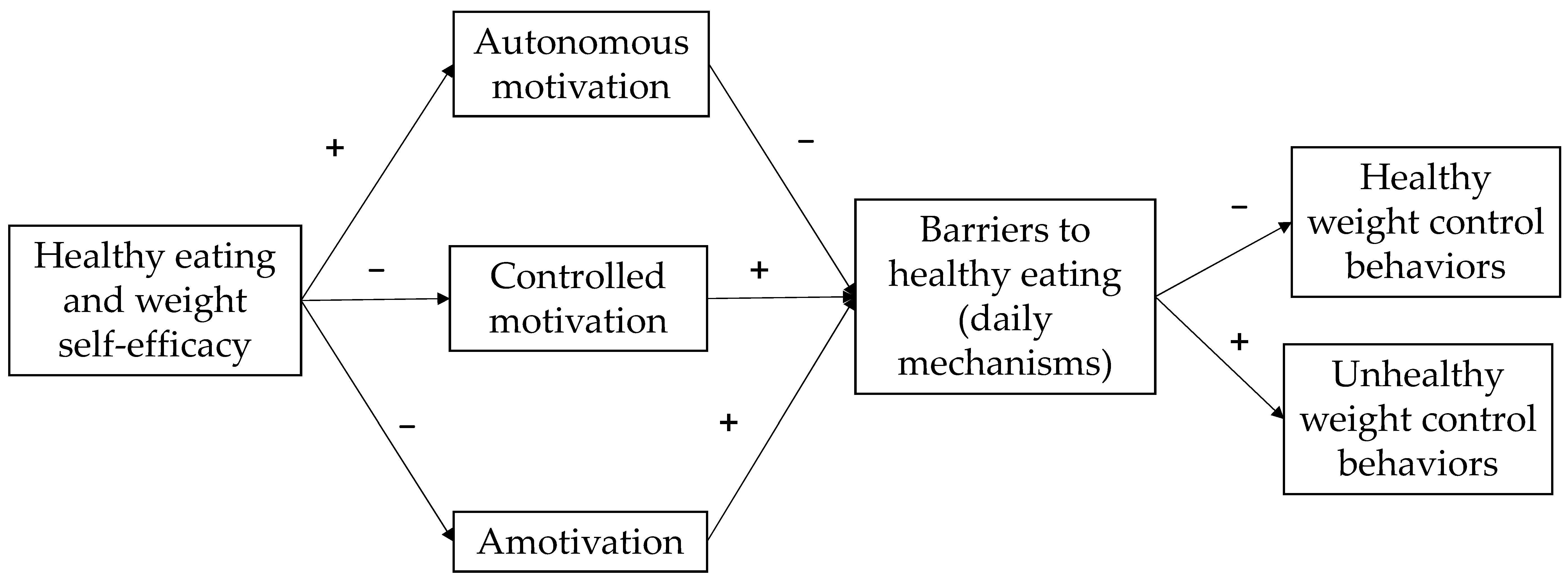 Healthcare 12 01454 g001