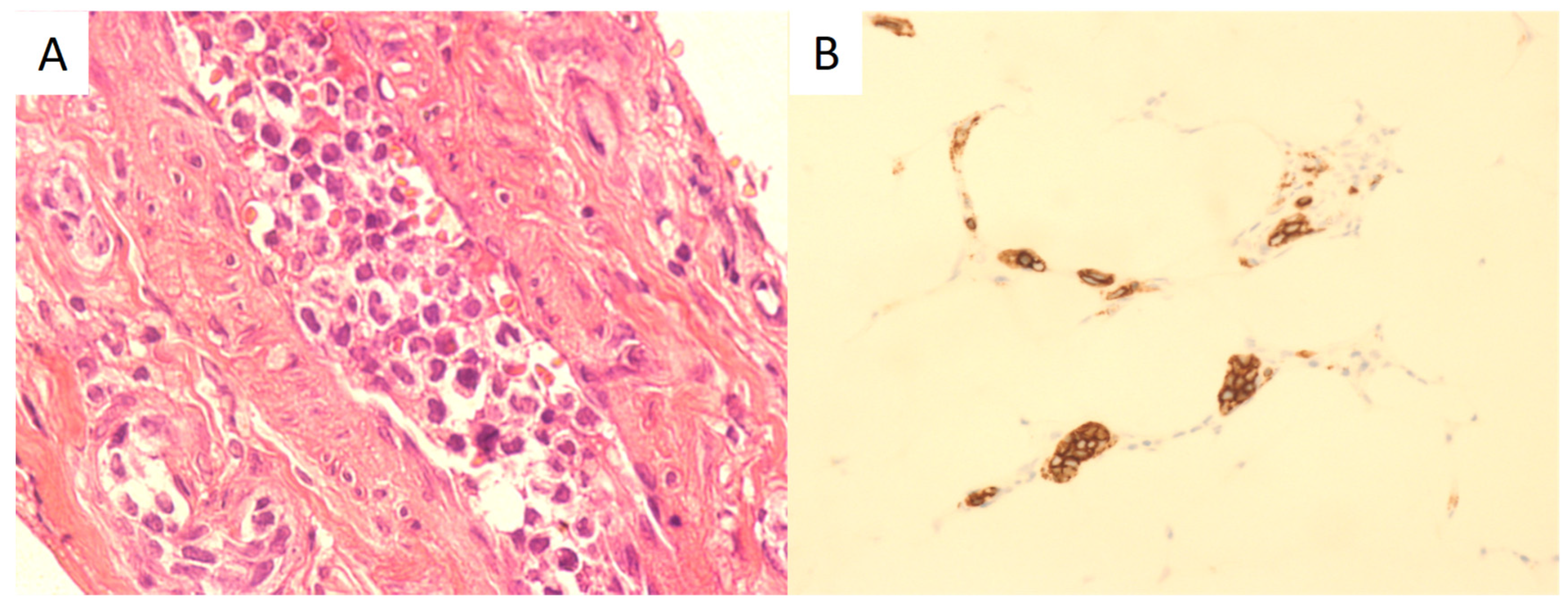 Healthcare 12 01455 g002