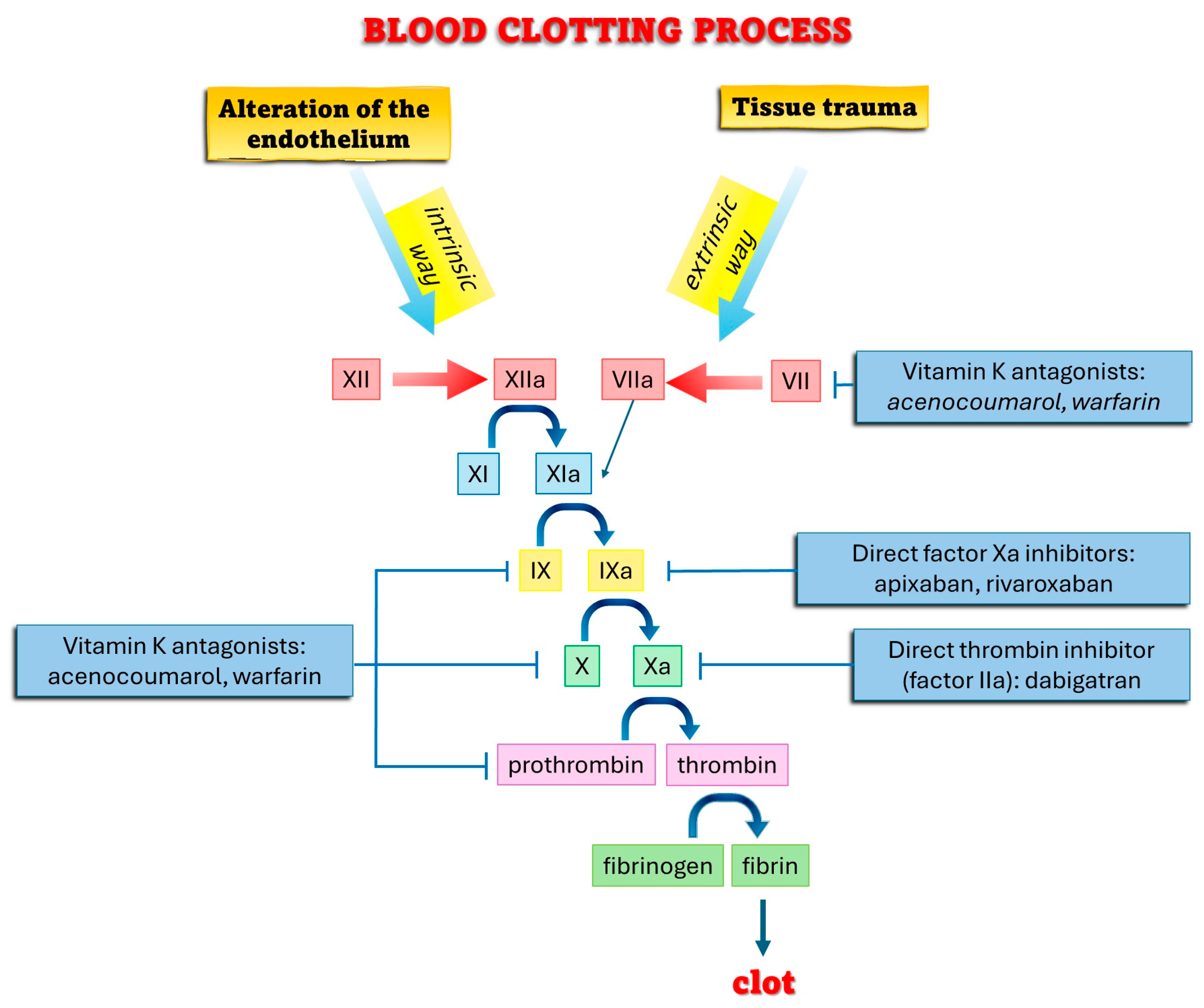 Healthcare 12 01537 g001 Healthcare 12 01537 g001