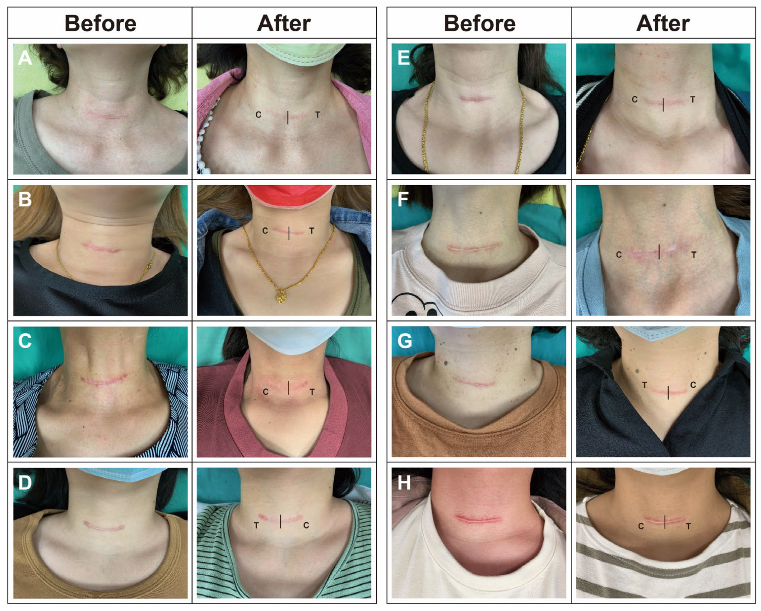 Healthcare 12 01605 g001