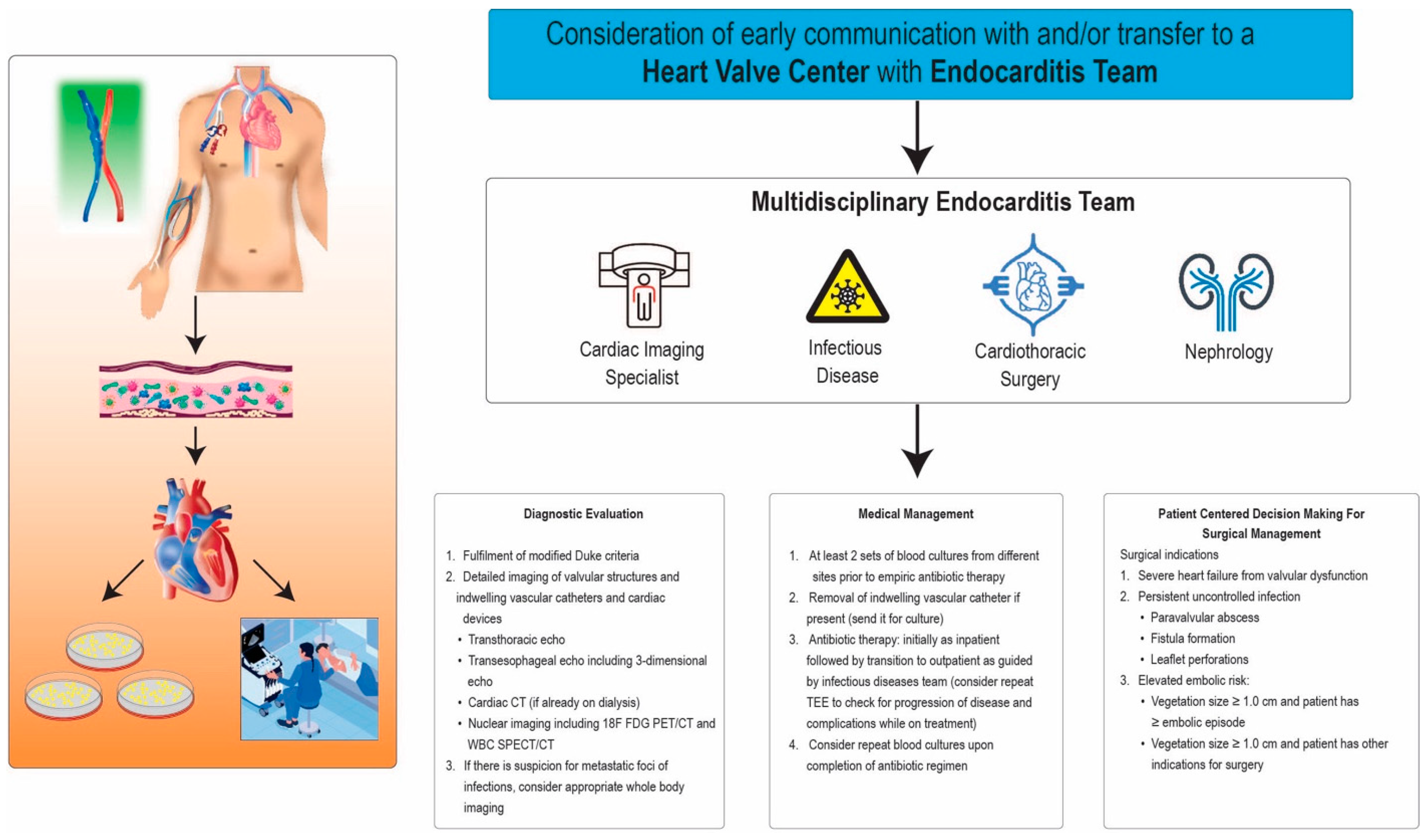 Healthcare 12 01631 g001