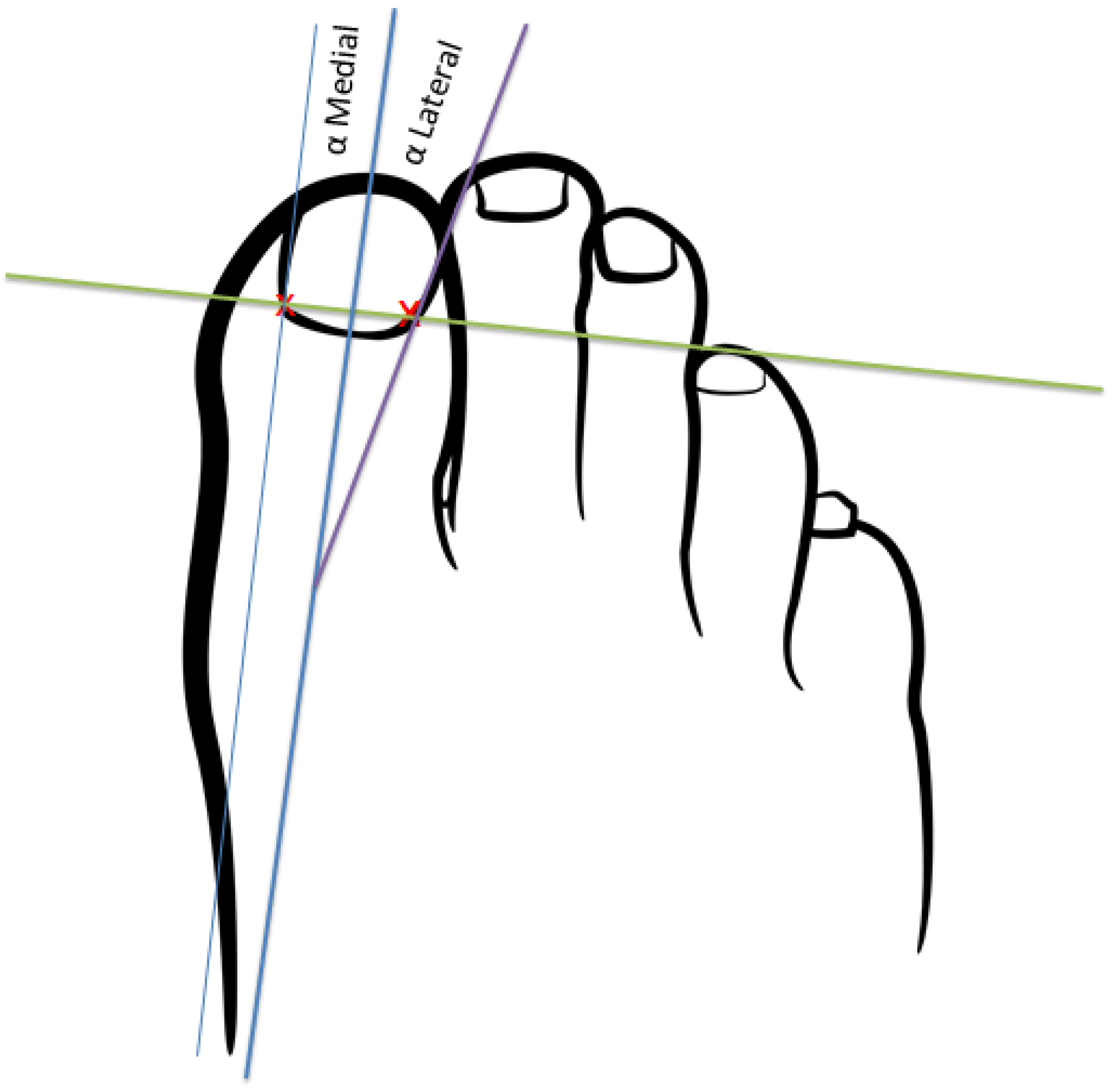 Healthcare 12 01681 g001