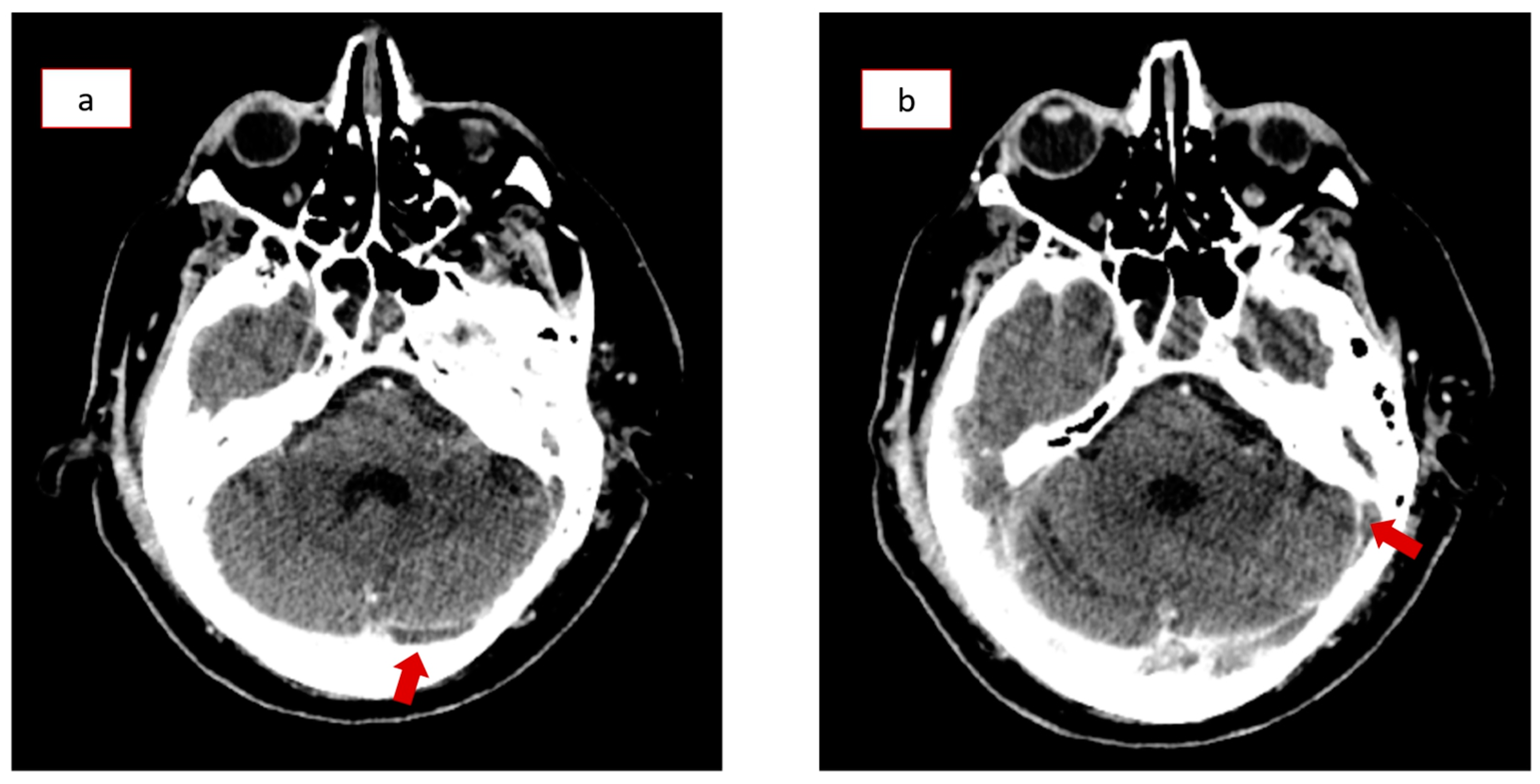 Healthcare 12 01743 g002