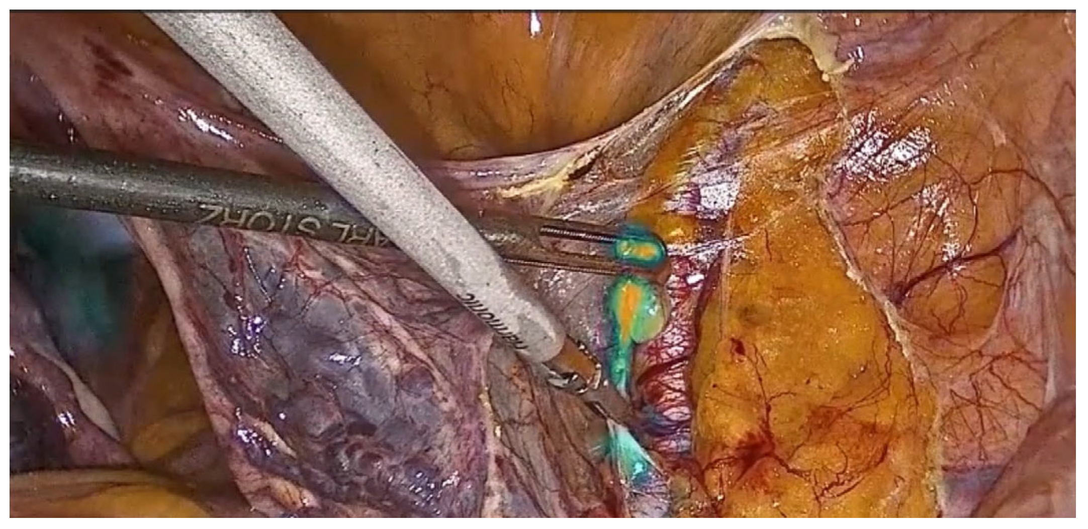 Healthcare 12 01752 g001