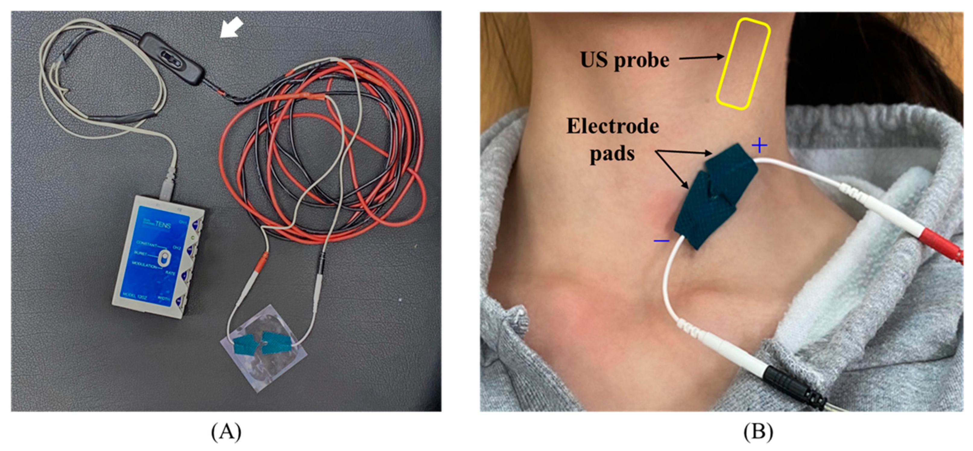 Healthcare 12 01908 g001