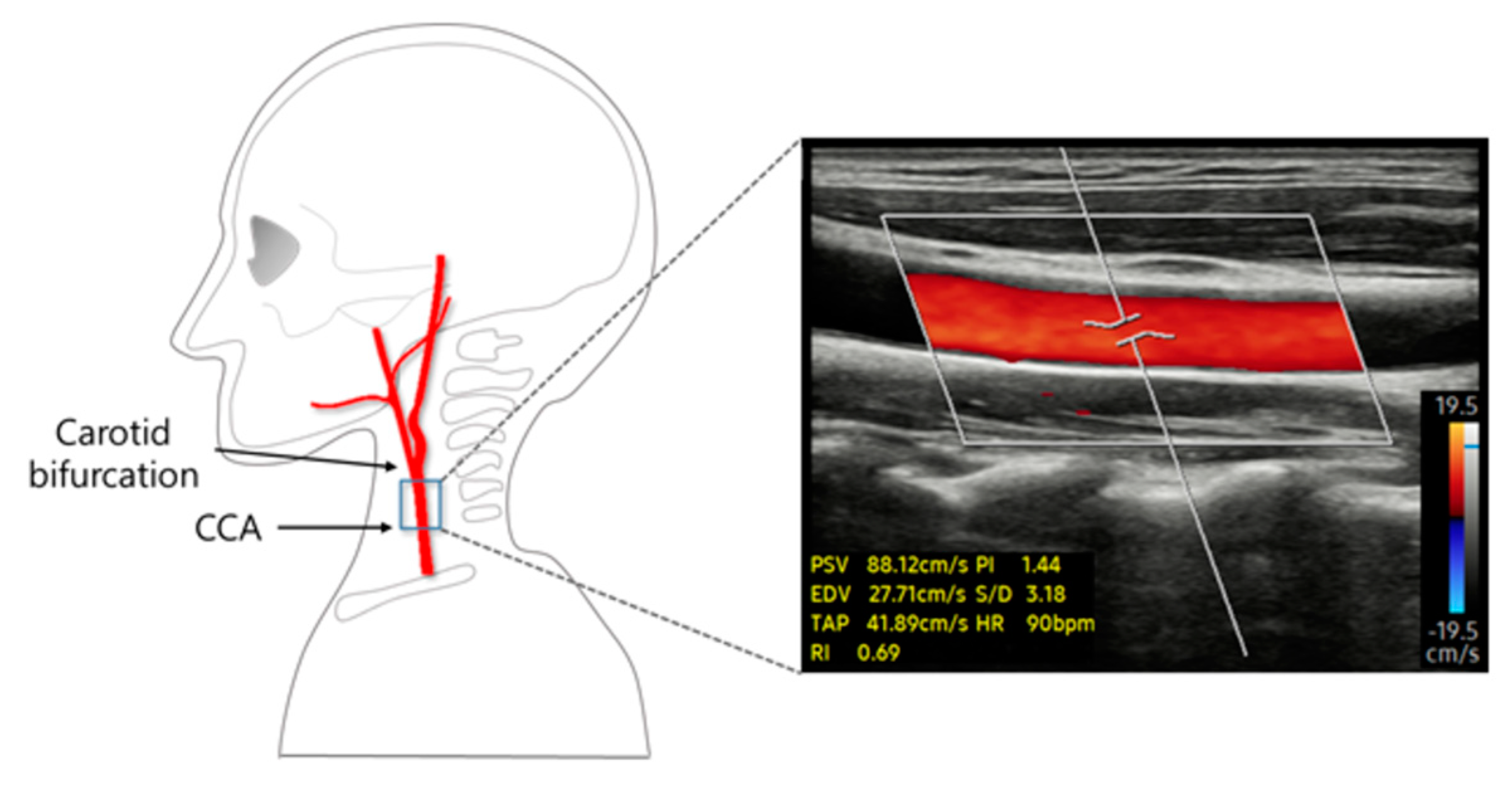 Healthcare 12 01908 g003