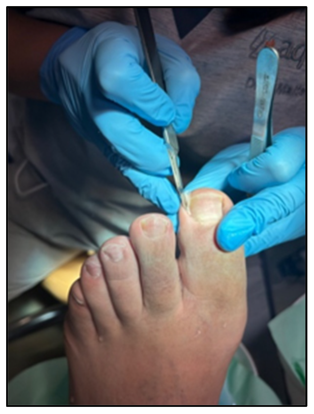 Healthcare 12 02139 g001