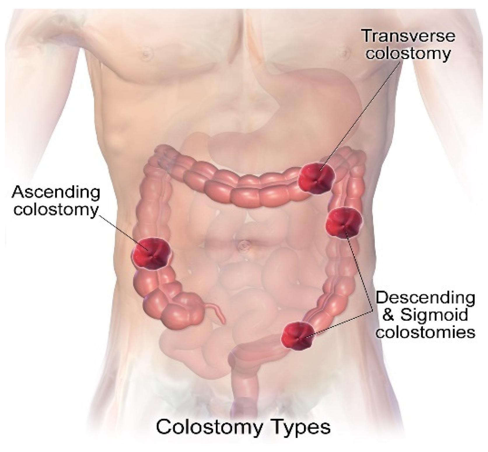 Healthcare 12 02175 g003