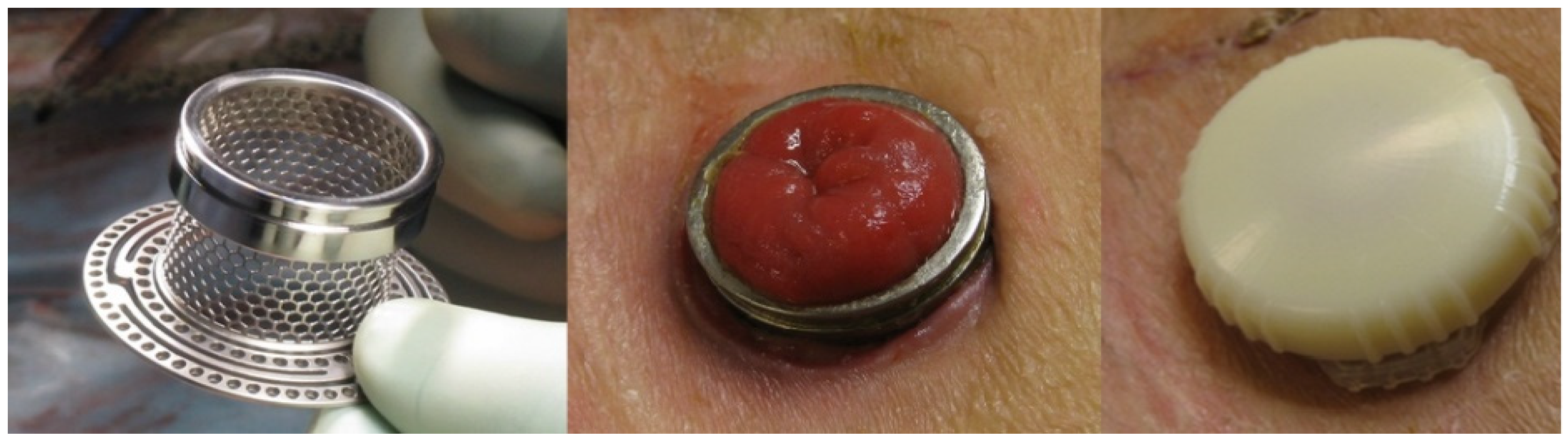 Healthcare 12 02175 g011