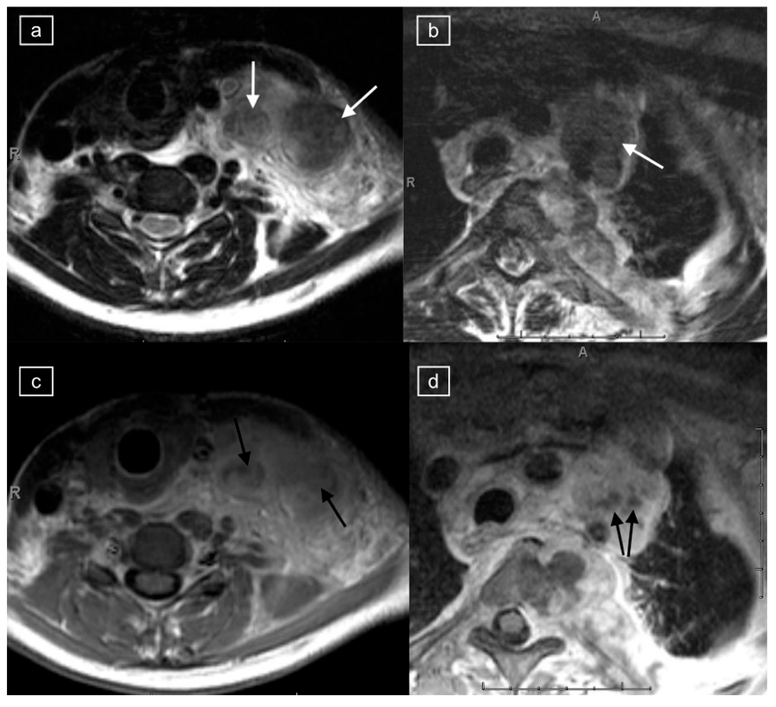 Healthcare 12 02180 g001