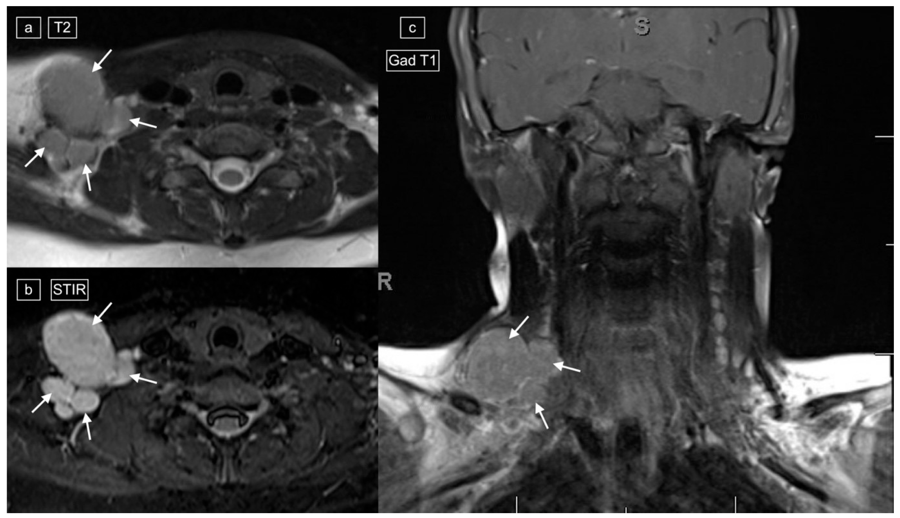 Healthcare 12 02180 g004