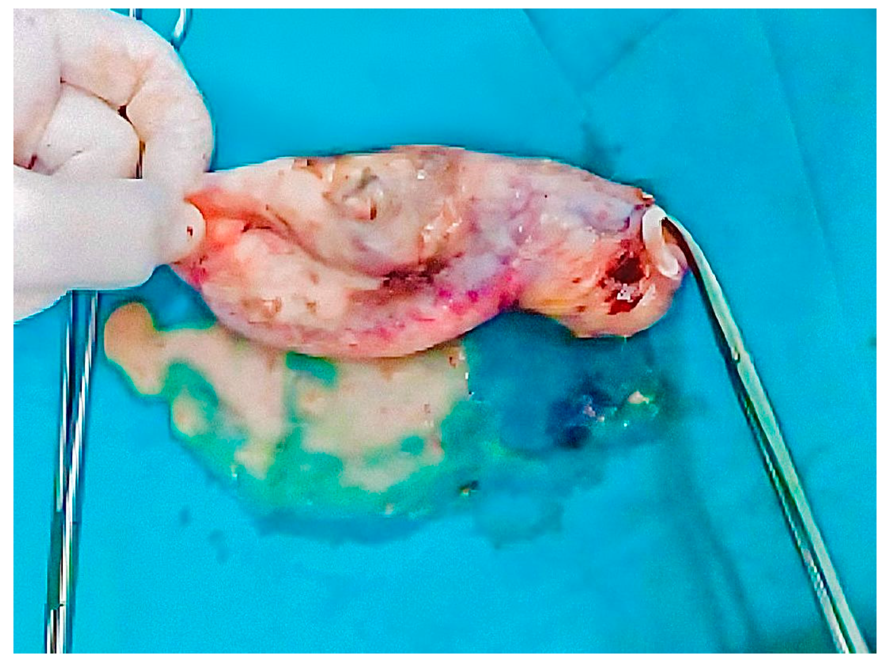 Healthcare 12 02184 g002