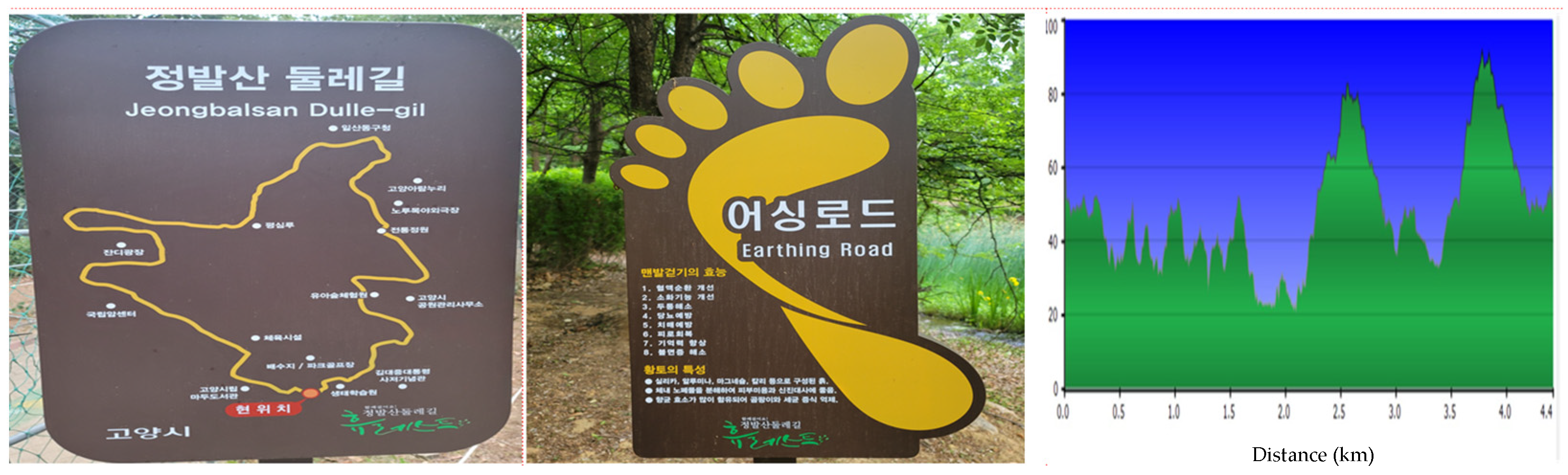 Healthcare 12 02372 g001