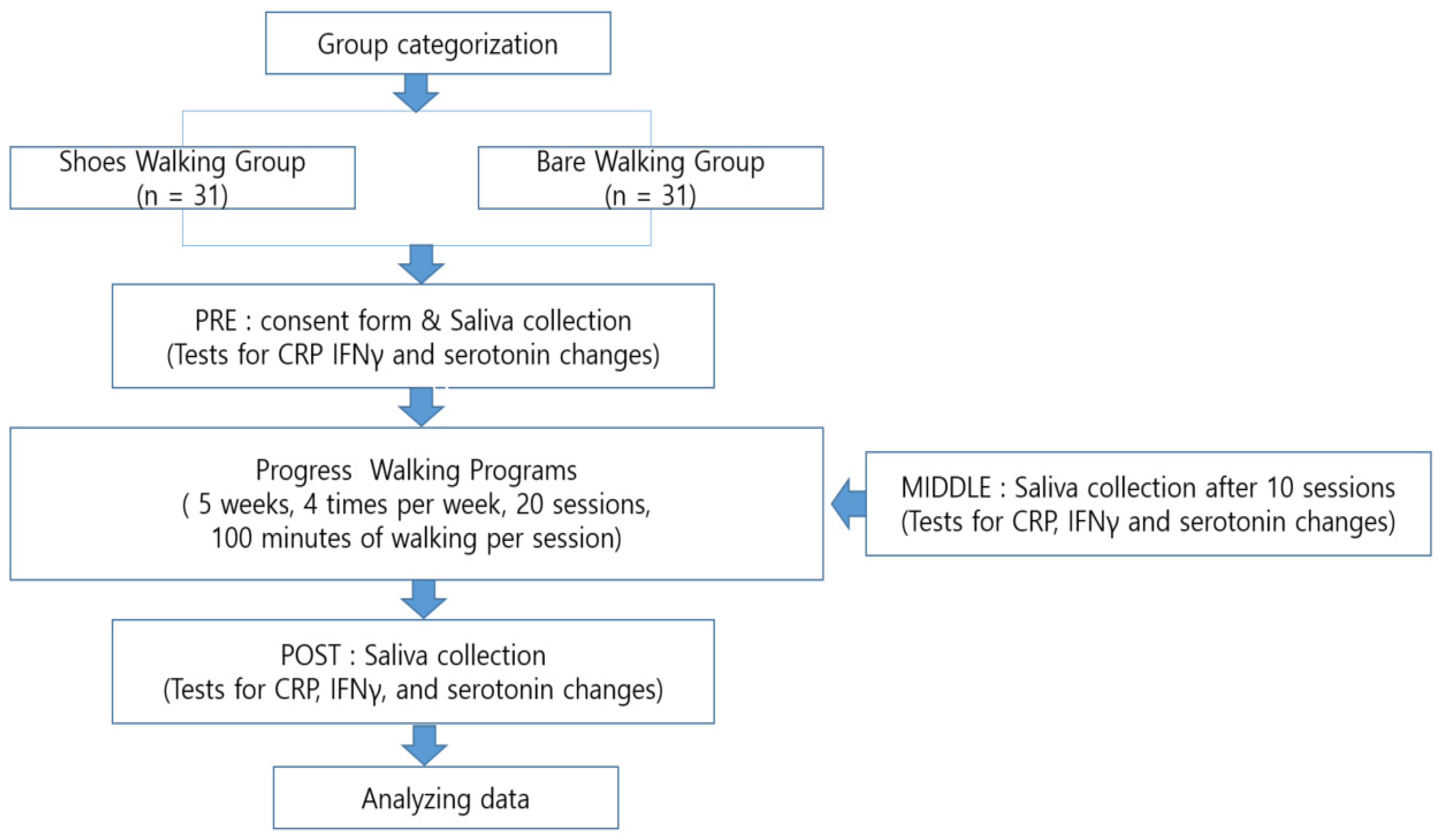 Healthcare 12 02372 g002