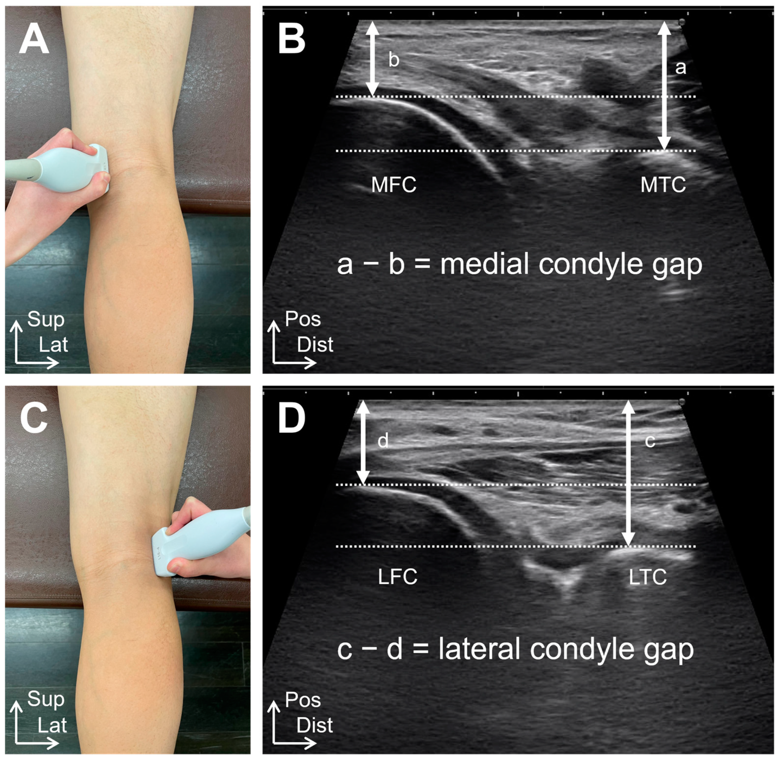 Healthcare 12 02412 g001