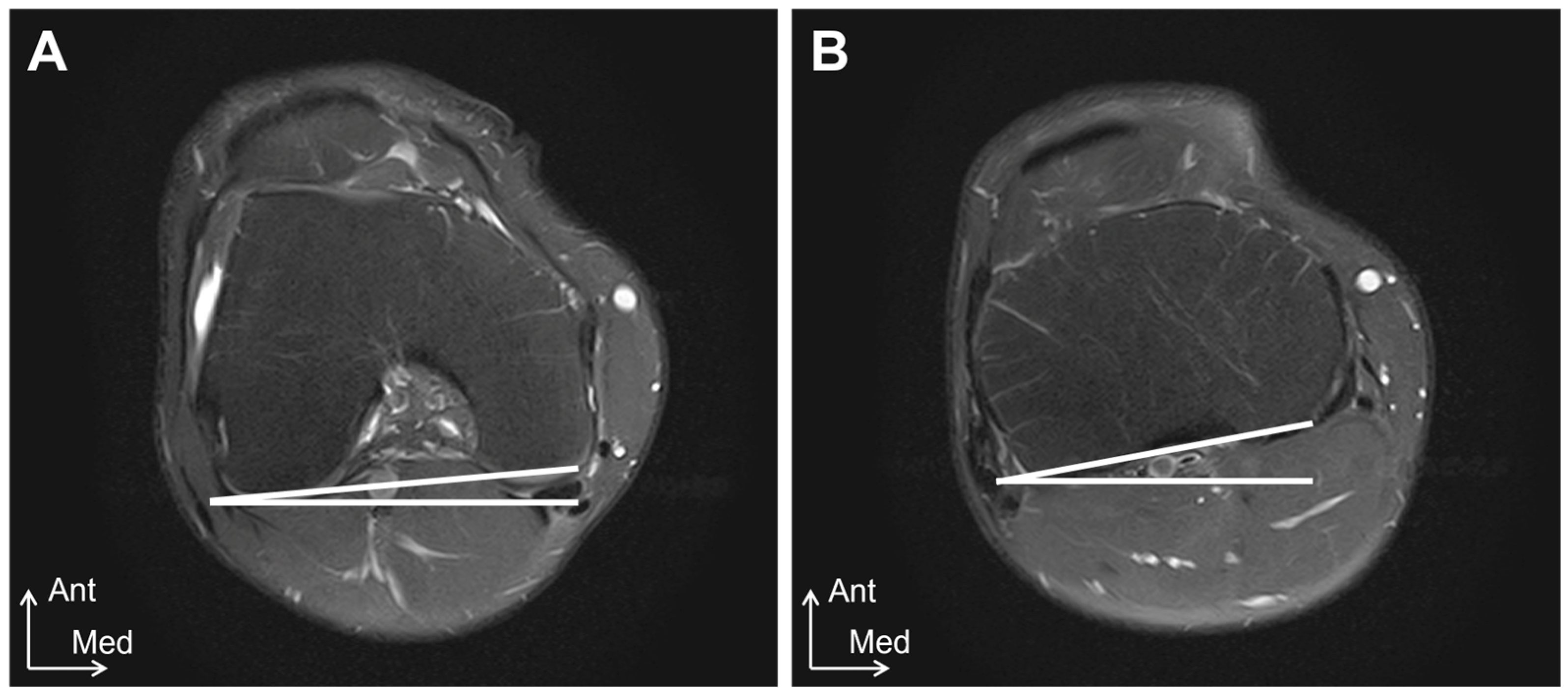 Healthcare 12 02412 g002