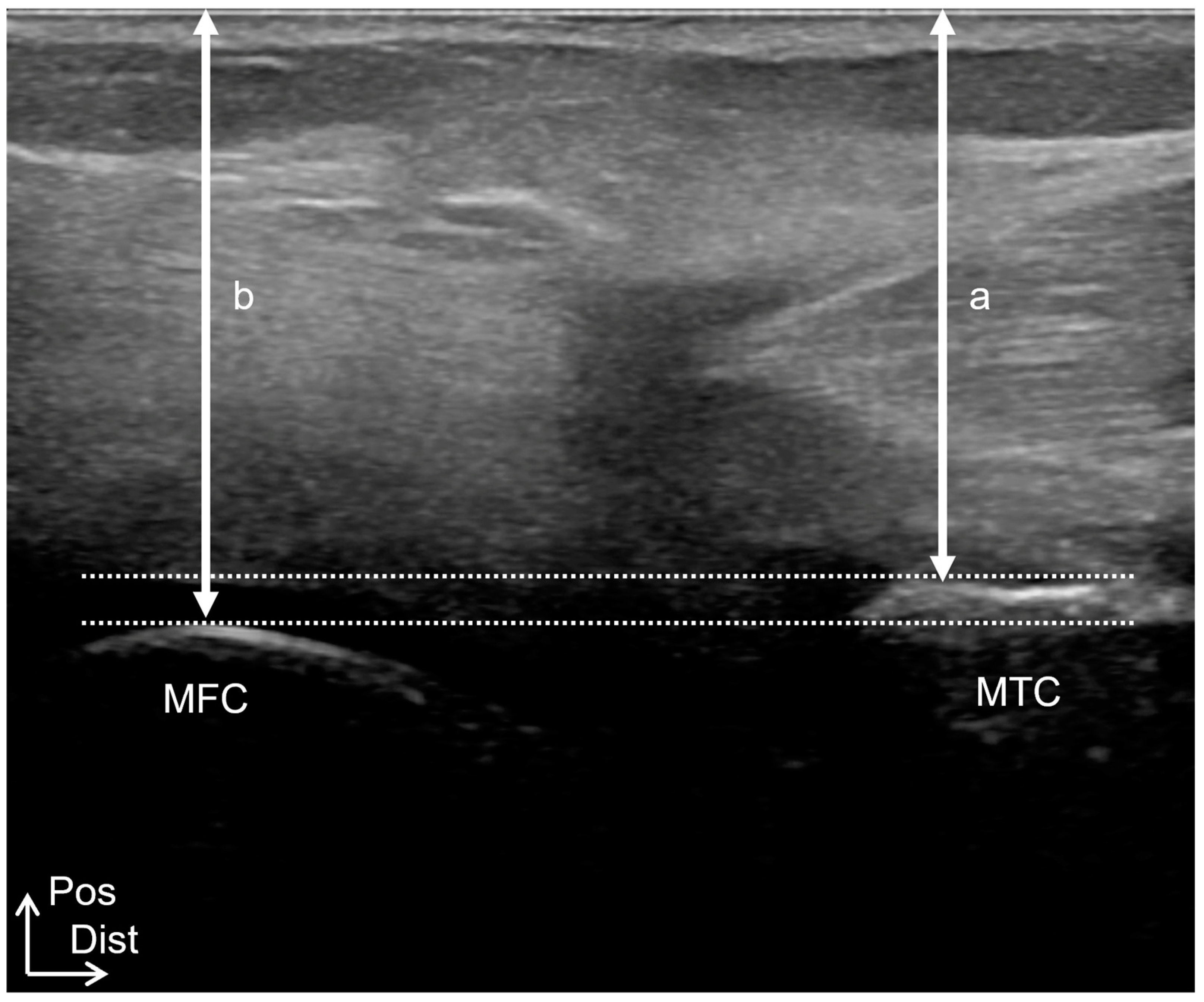 Healthcare 12 02412 g005