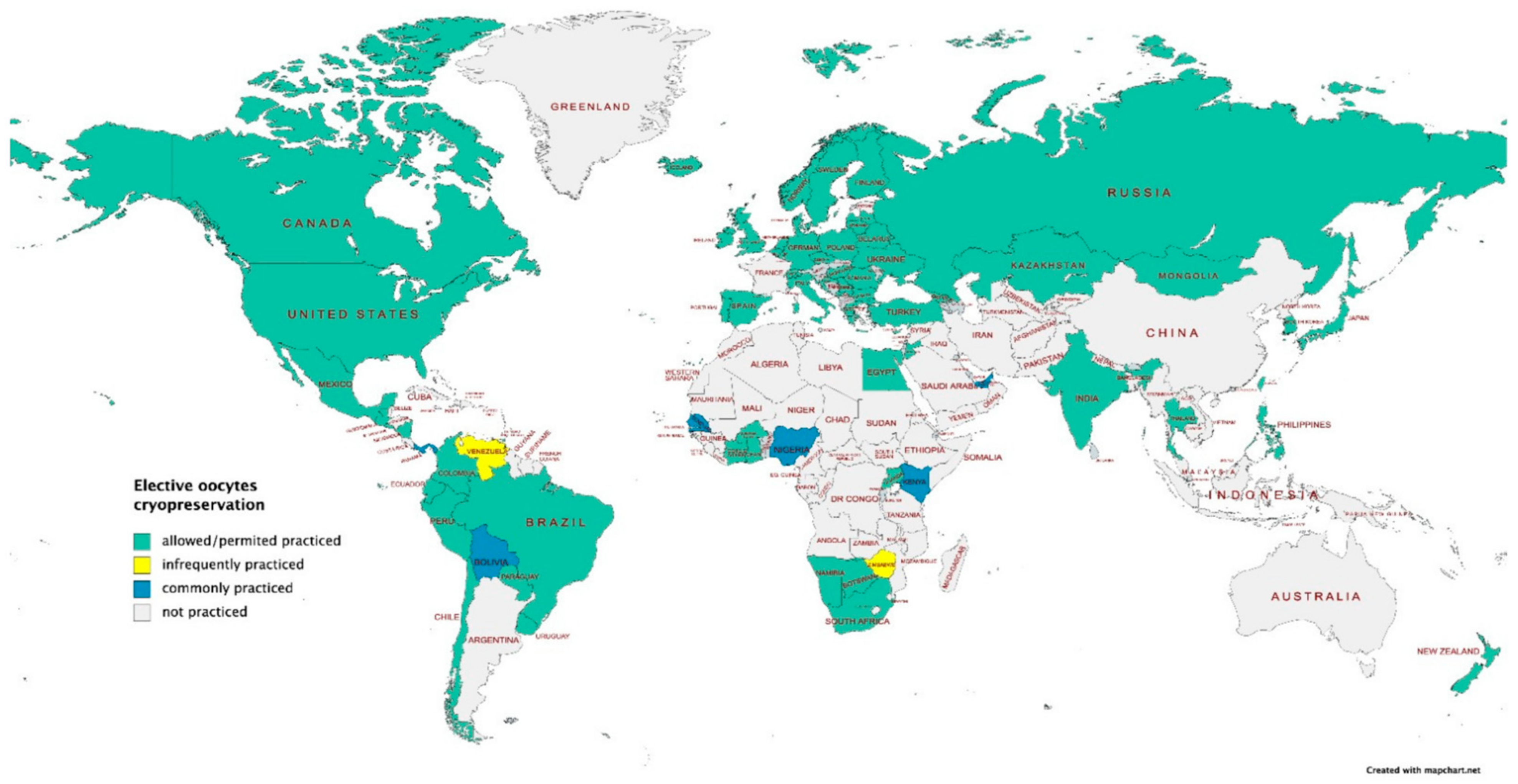 Healthcare 12 02421 g002