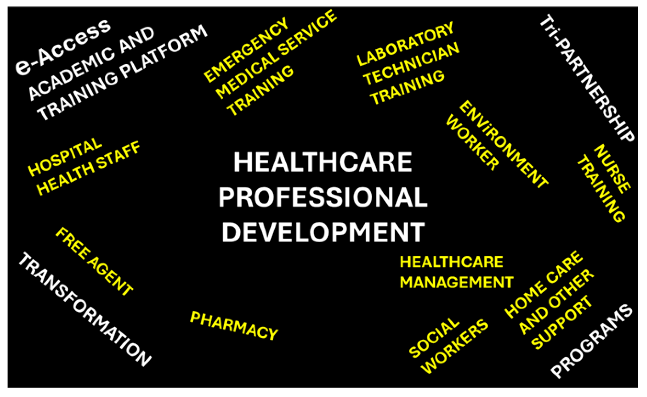 Healthcare 13 00036 g003