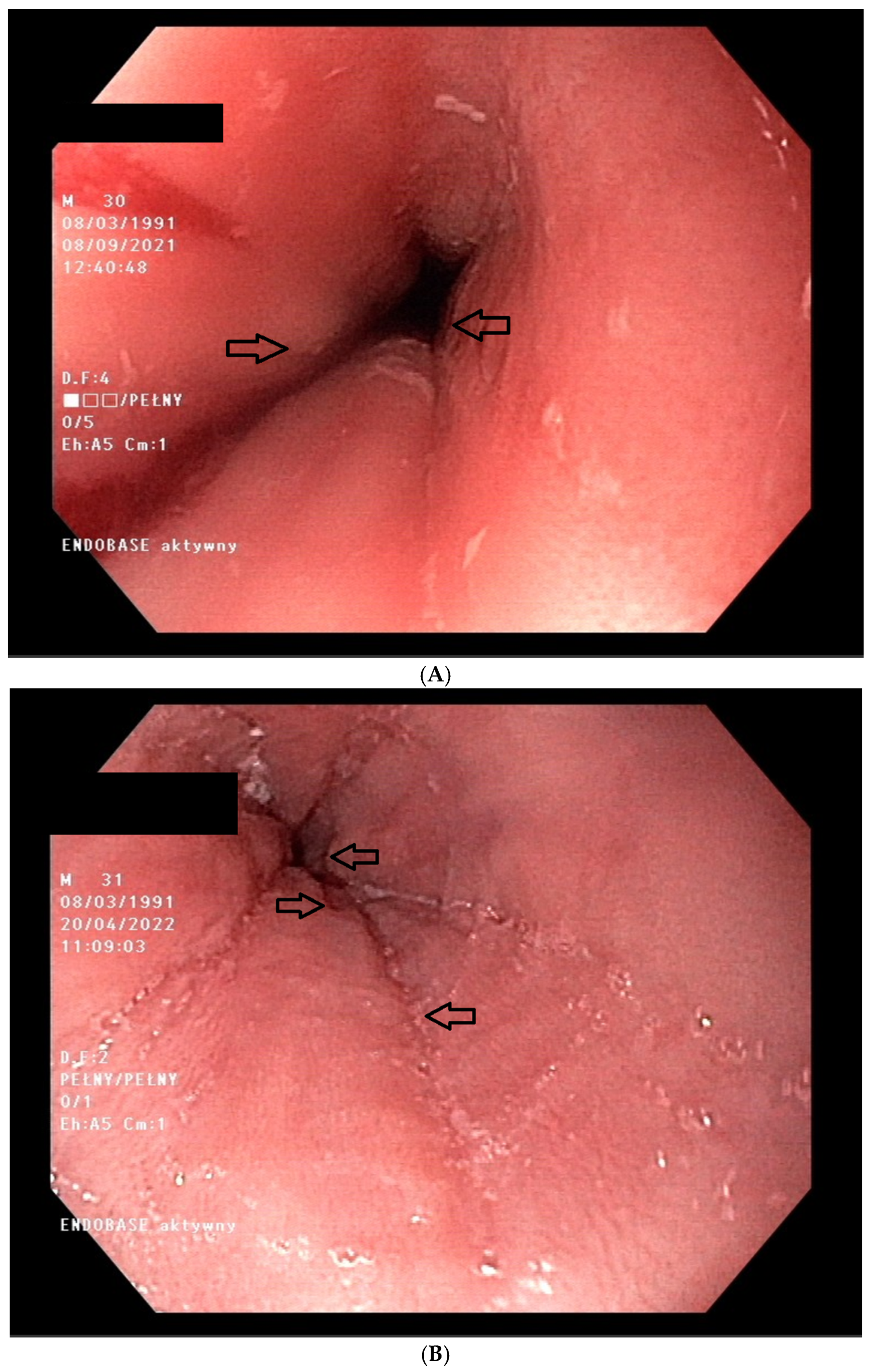Healthcare 13 00094 g001