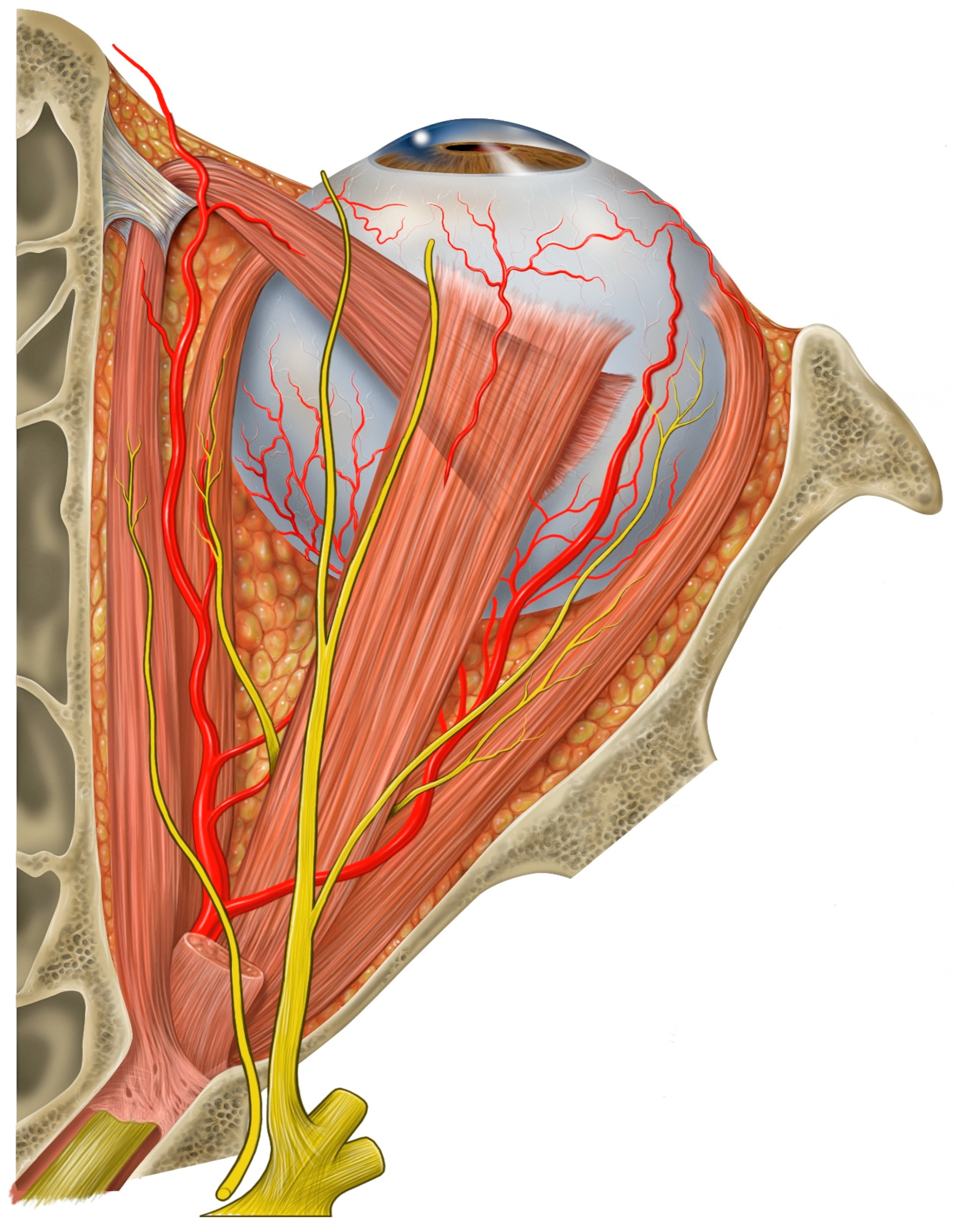 Healthcare 13 00098 g002
