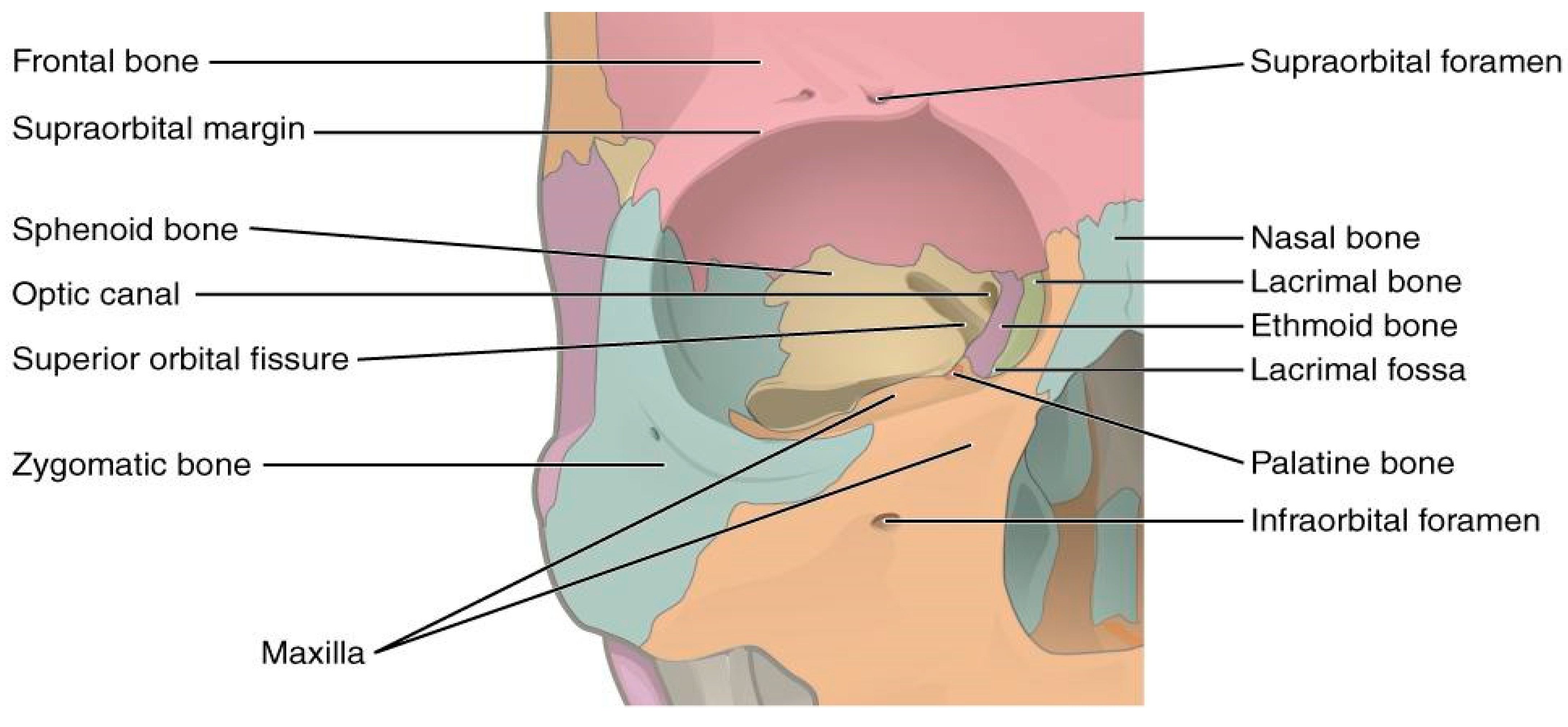 Healthcare 13 00098 g003