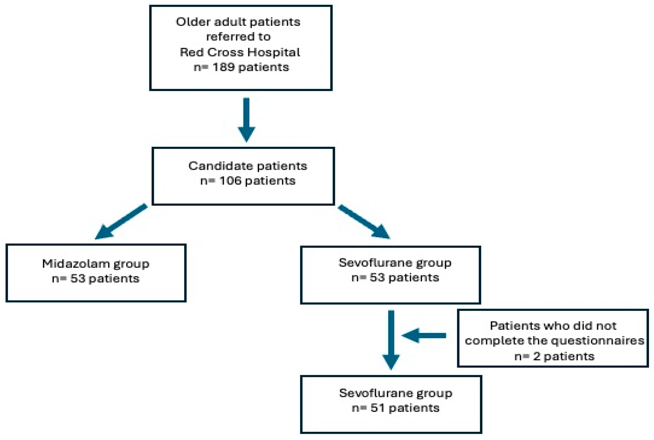 Healthcare 13 00116 g001