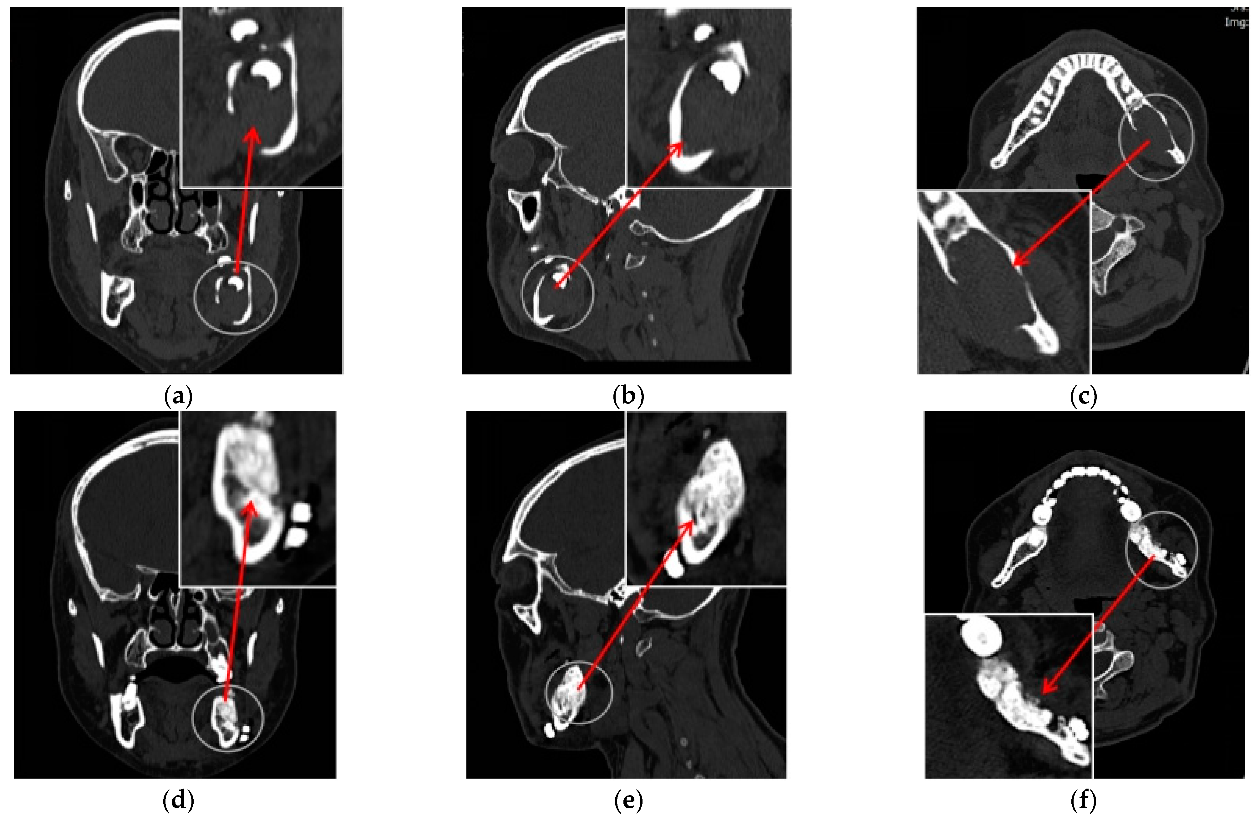 Healthcare 13 00137 g001