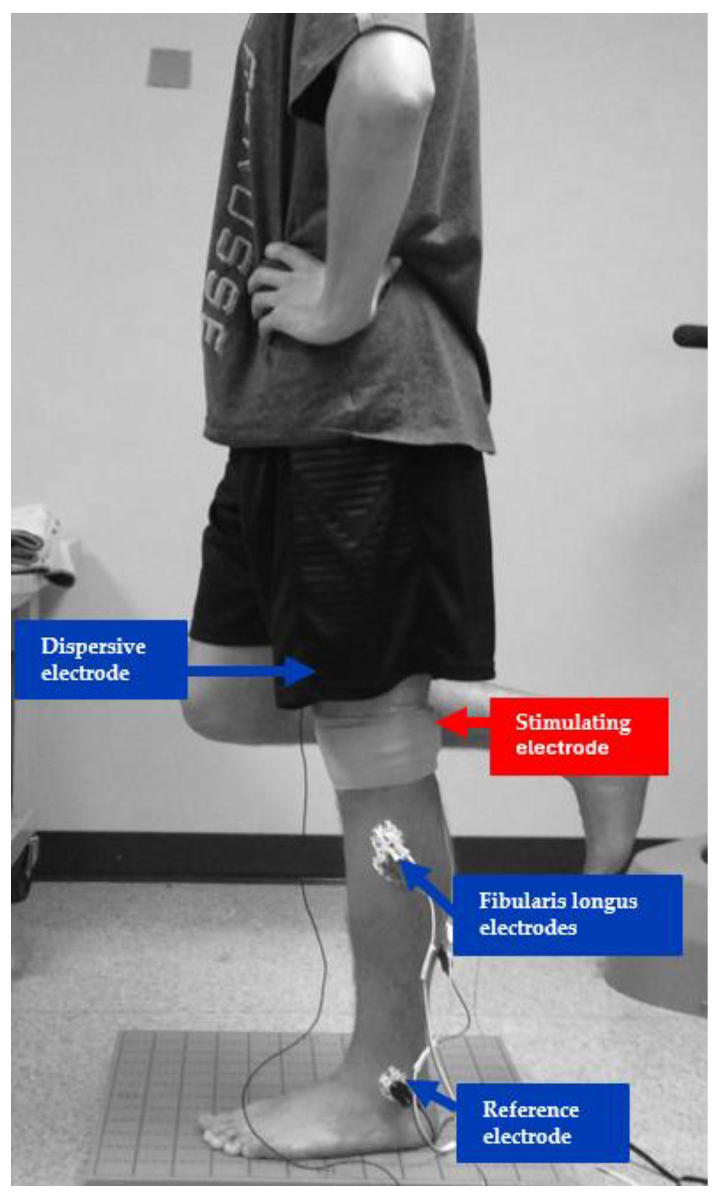 Healthcare 13 00149 g001