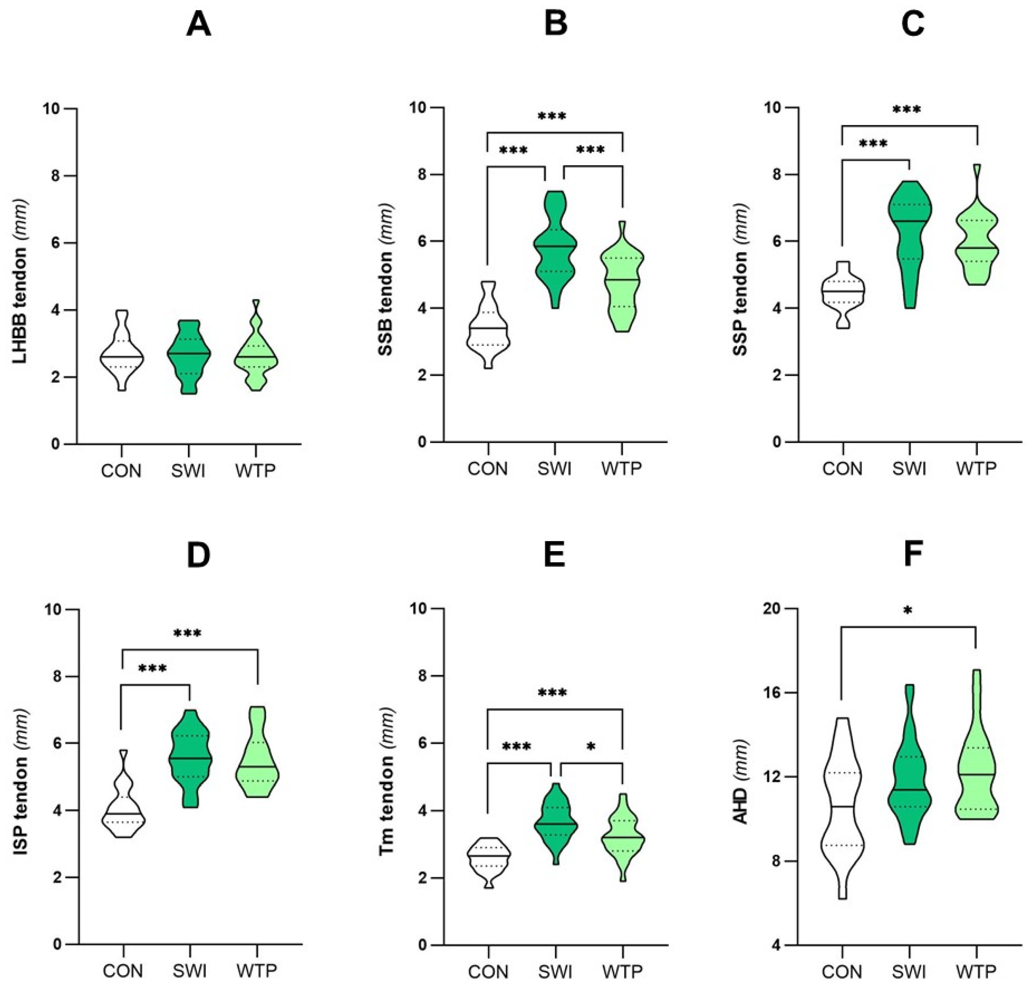 Healthcare 13 00151 g001