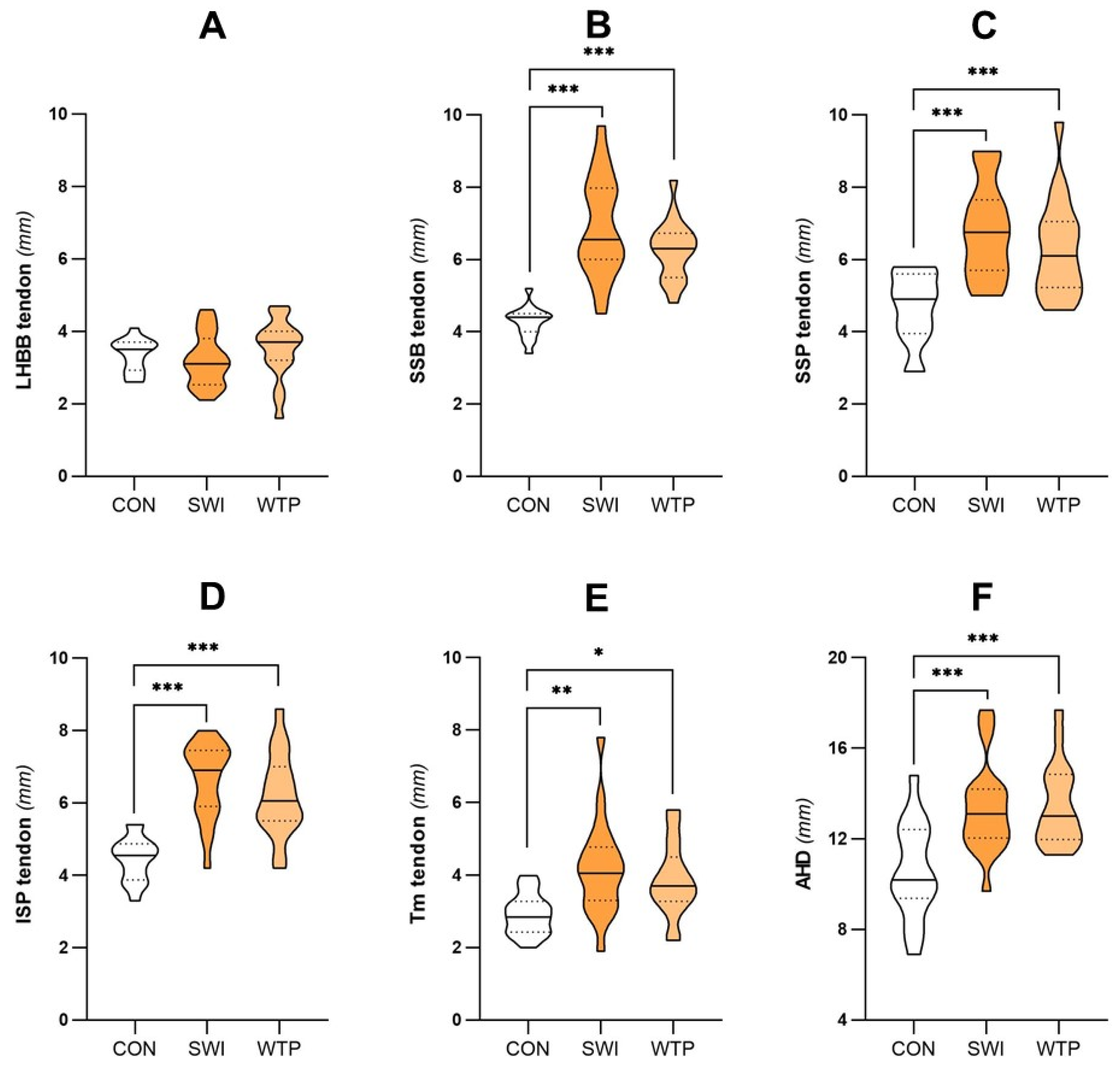 Healthcare 13 00151 g002
